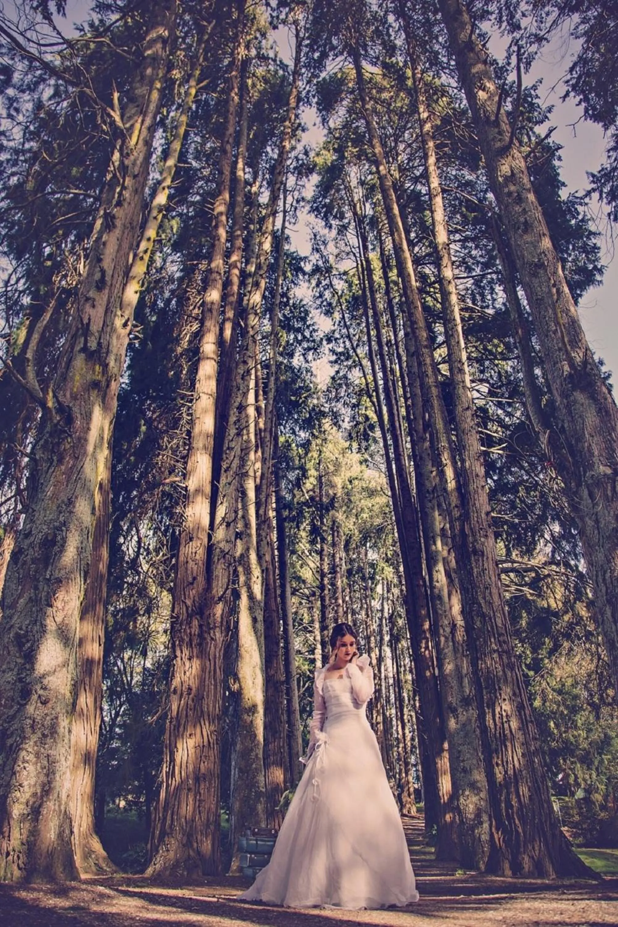 Natural landscape in Okoroire Hot Springs Hotel
