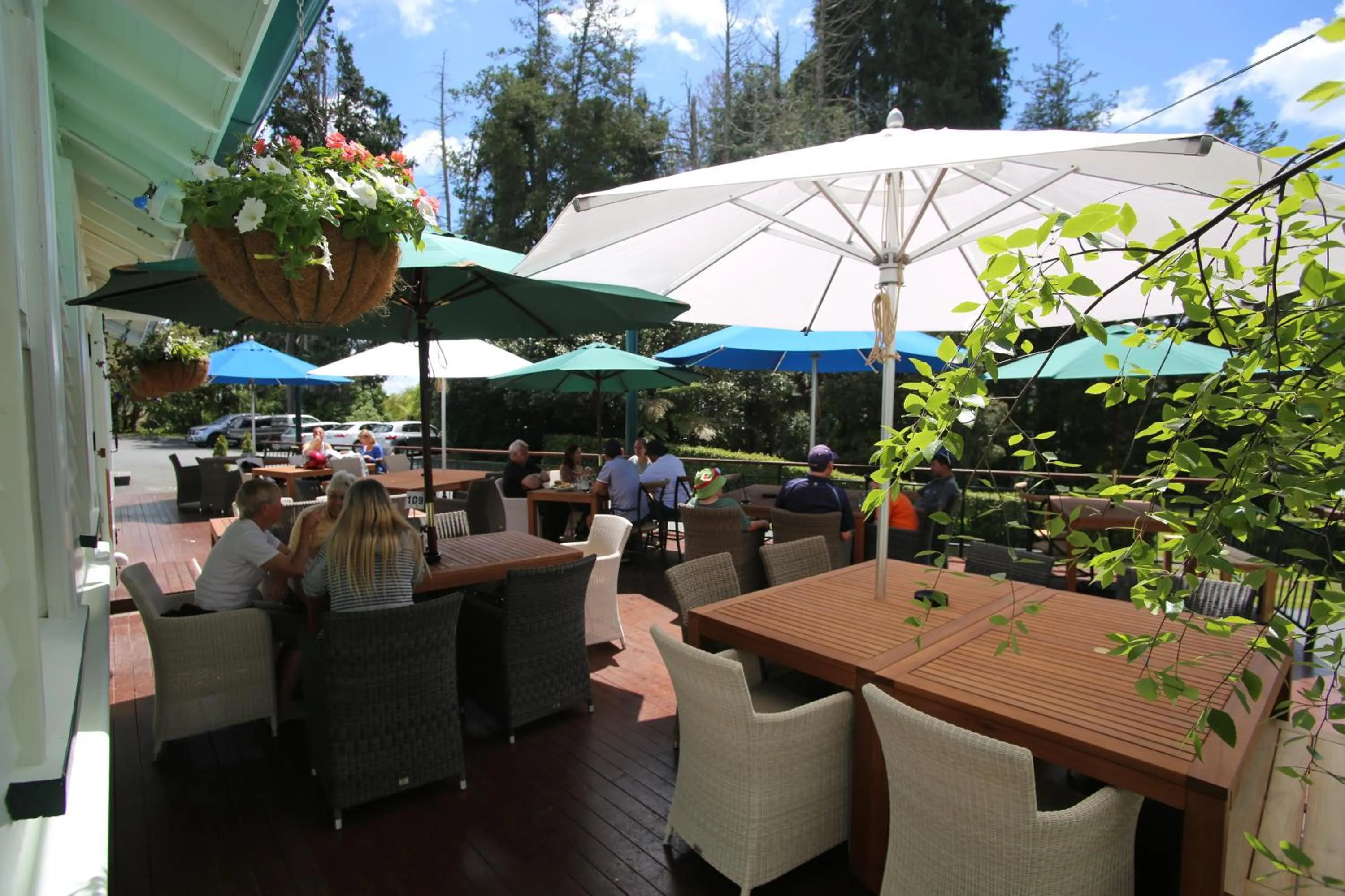 Balcony/Terrace in Okoroire Hot Springs Hotel