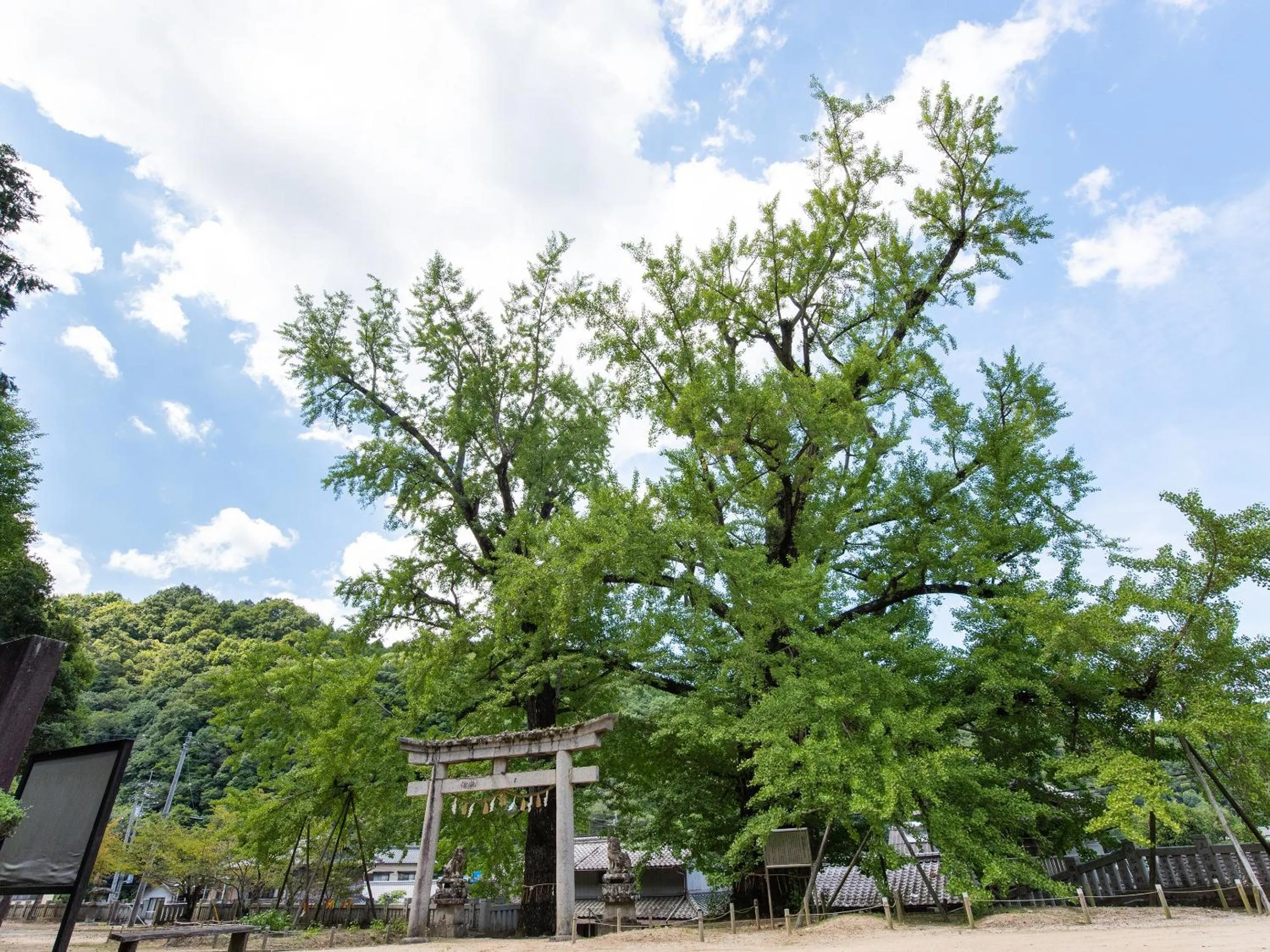 Off site in Shin Kabakawa Kanko Hotel