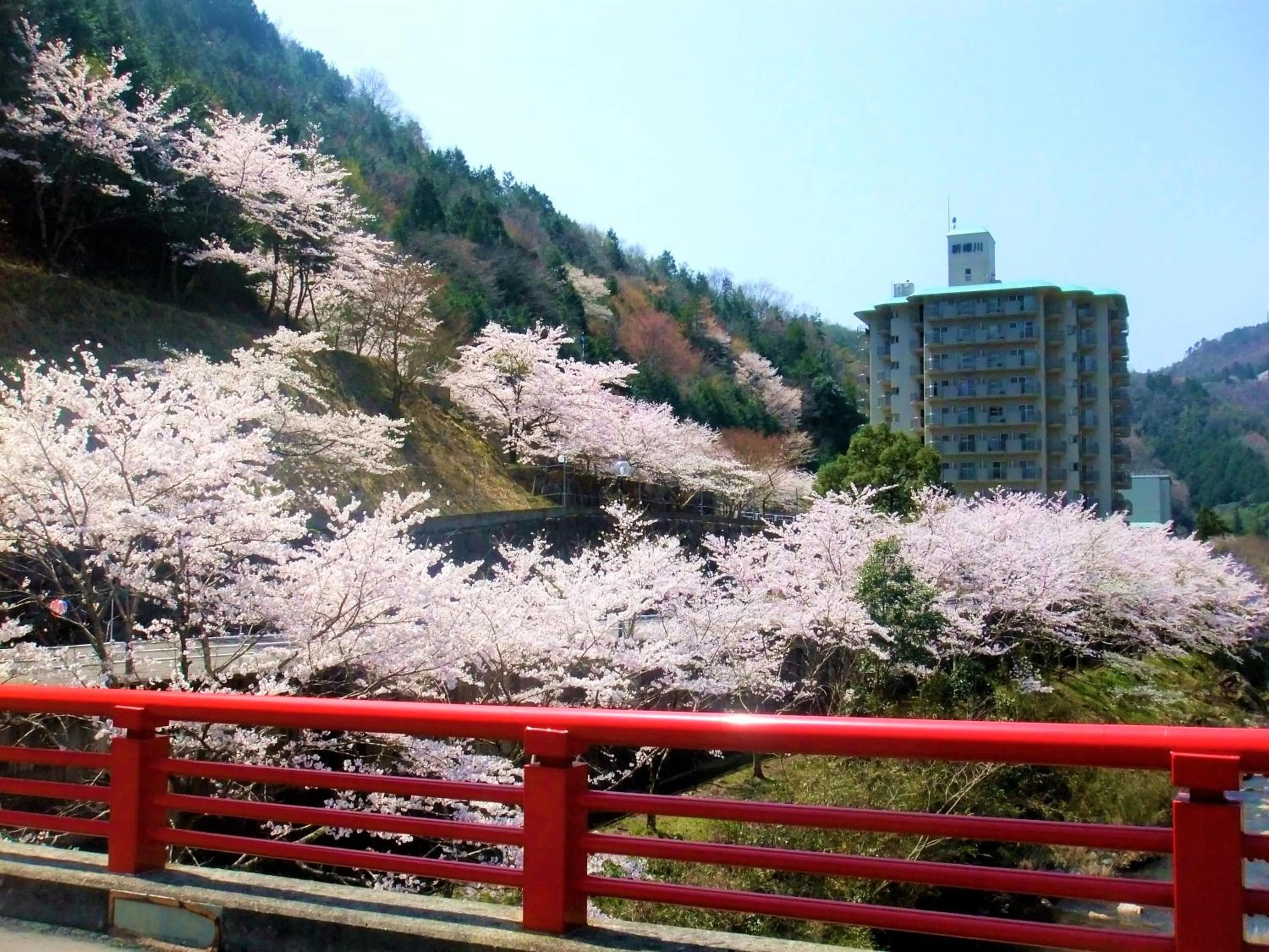 Spring in Shin Kabakawa Kanko Hotel