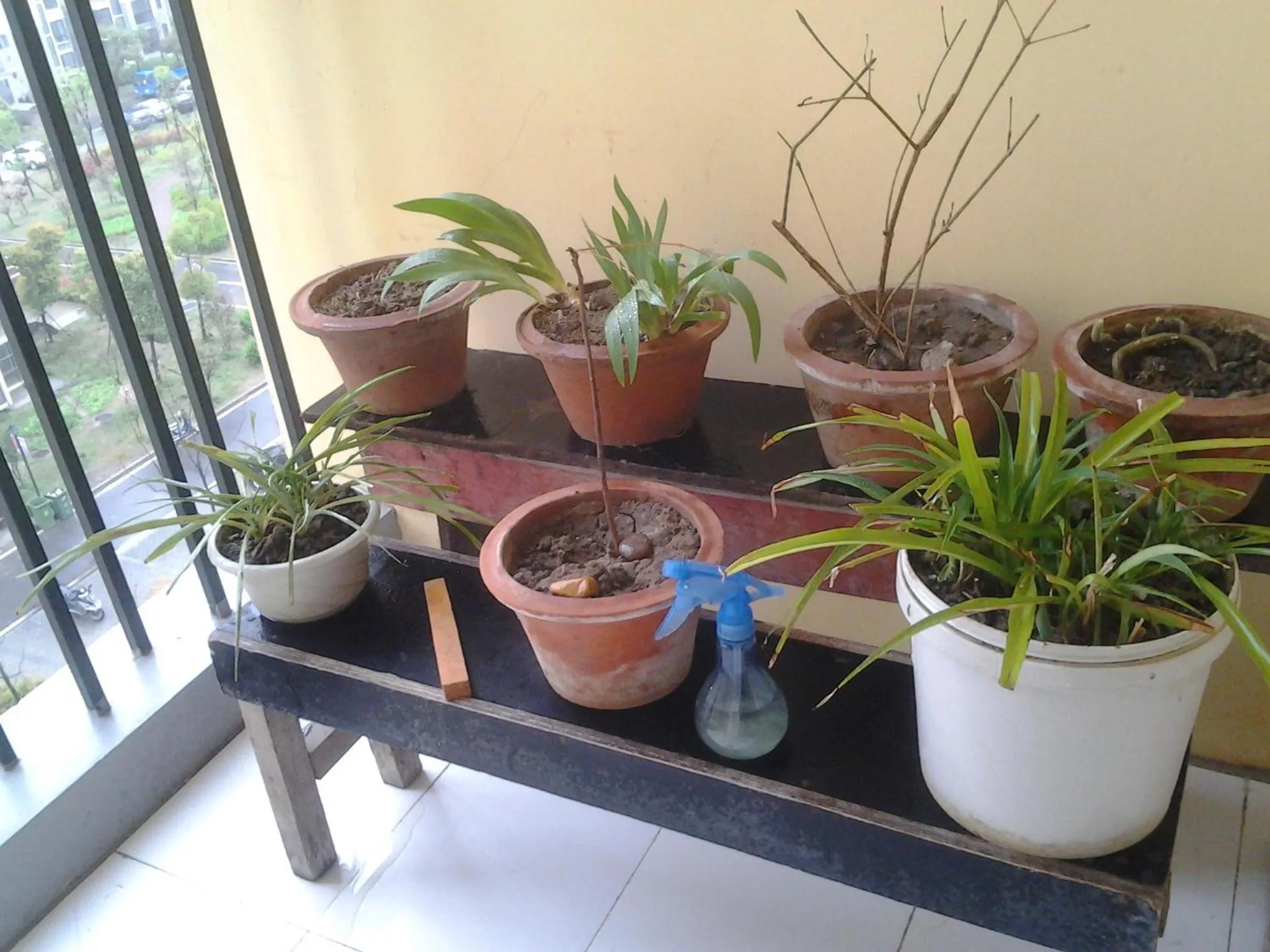 Balcony/Terrace in Makerhouse Hostel