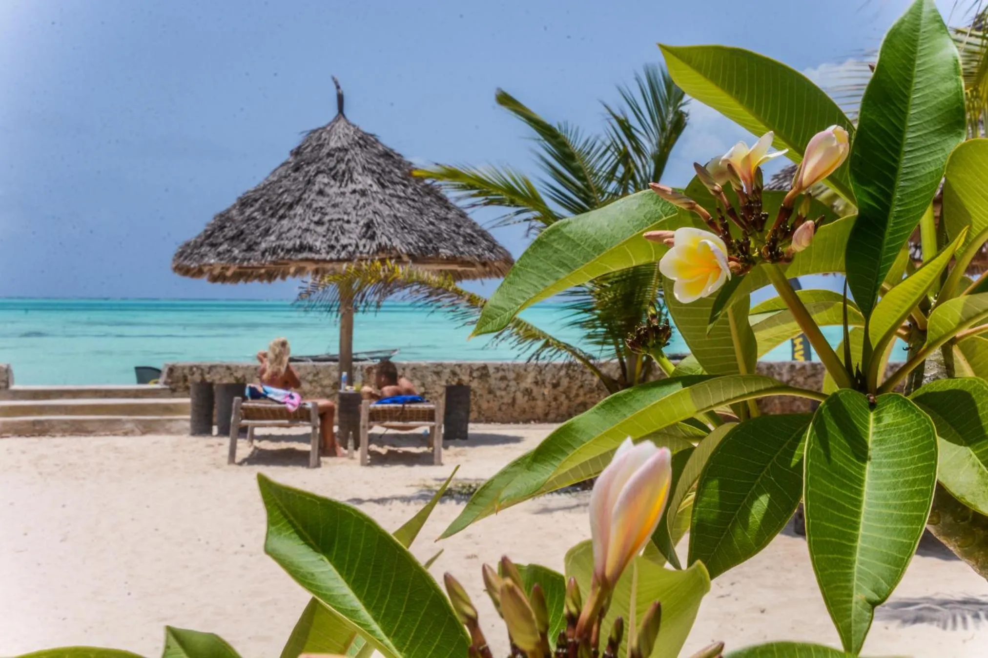 Garden in Nur Beach Hotel