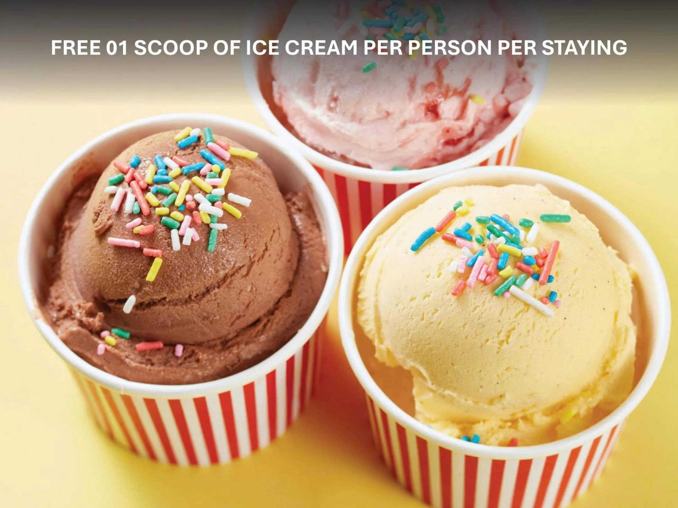 VIP in Wyndham Soleil Danang - Free Schedule Airport Shuttle