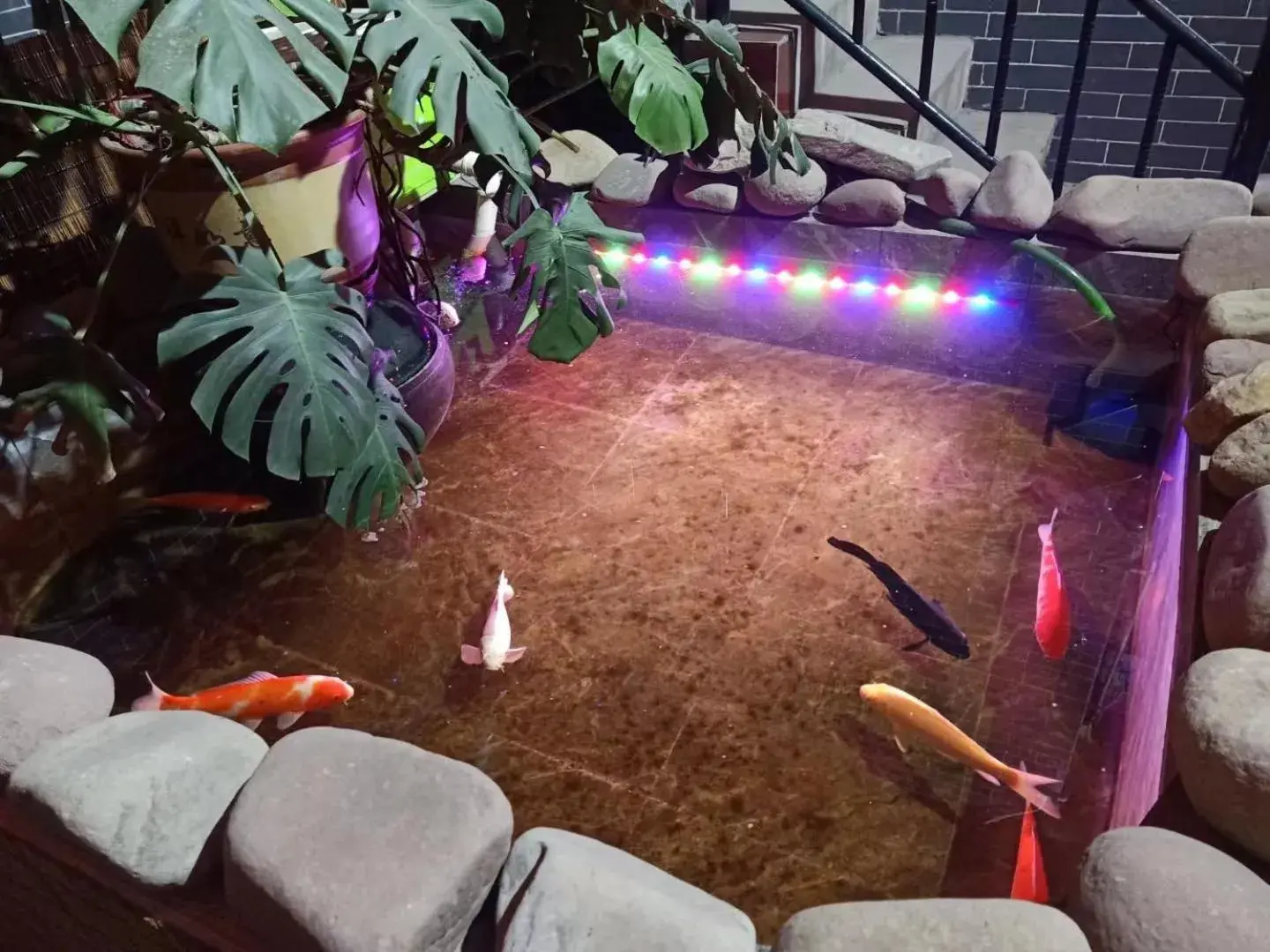 Bunk Bed in Male Dormitory Room in Pingyao Jiaxin Guesthouse Bunk Bed in Male Dormitory Room in Pingyao Jiaxin Guesthouse