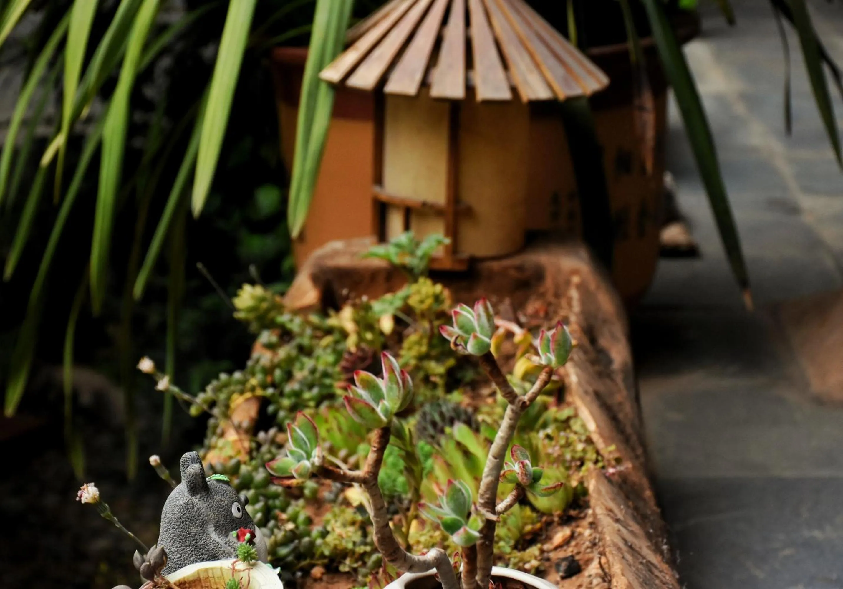 Tourist Courtyard Hotel