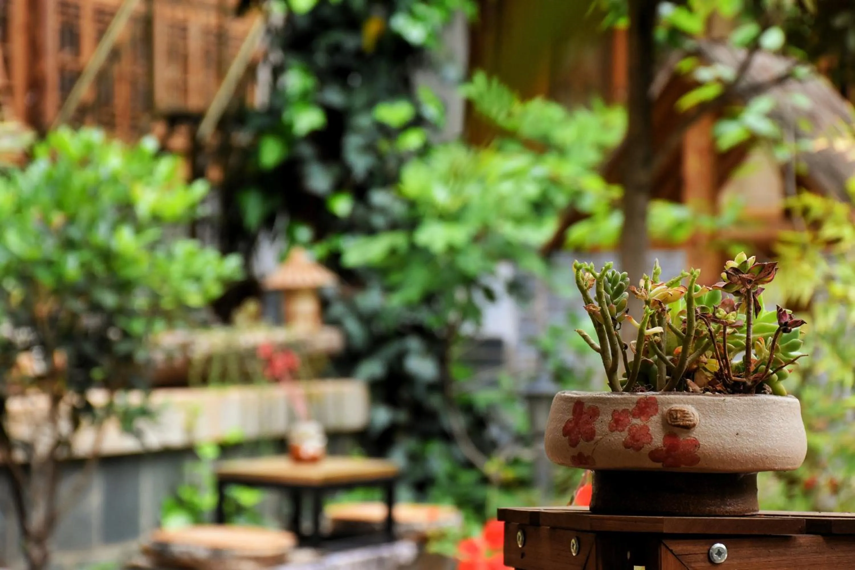 Tourist Courtyard Hotel