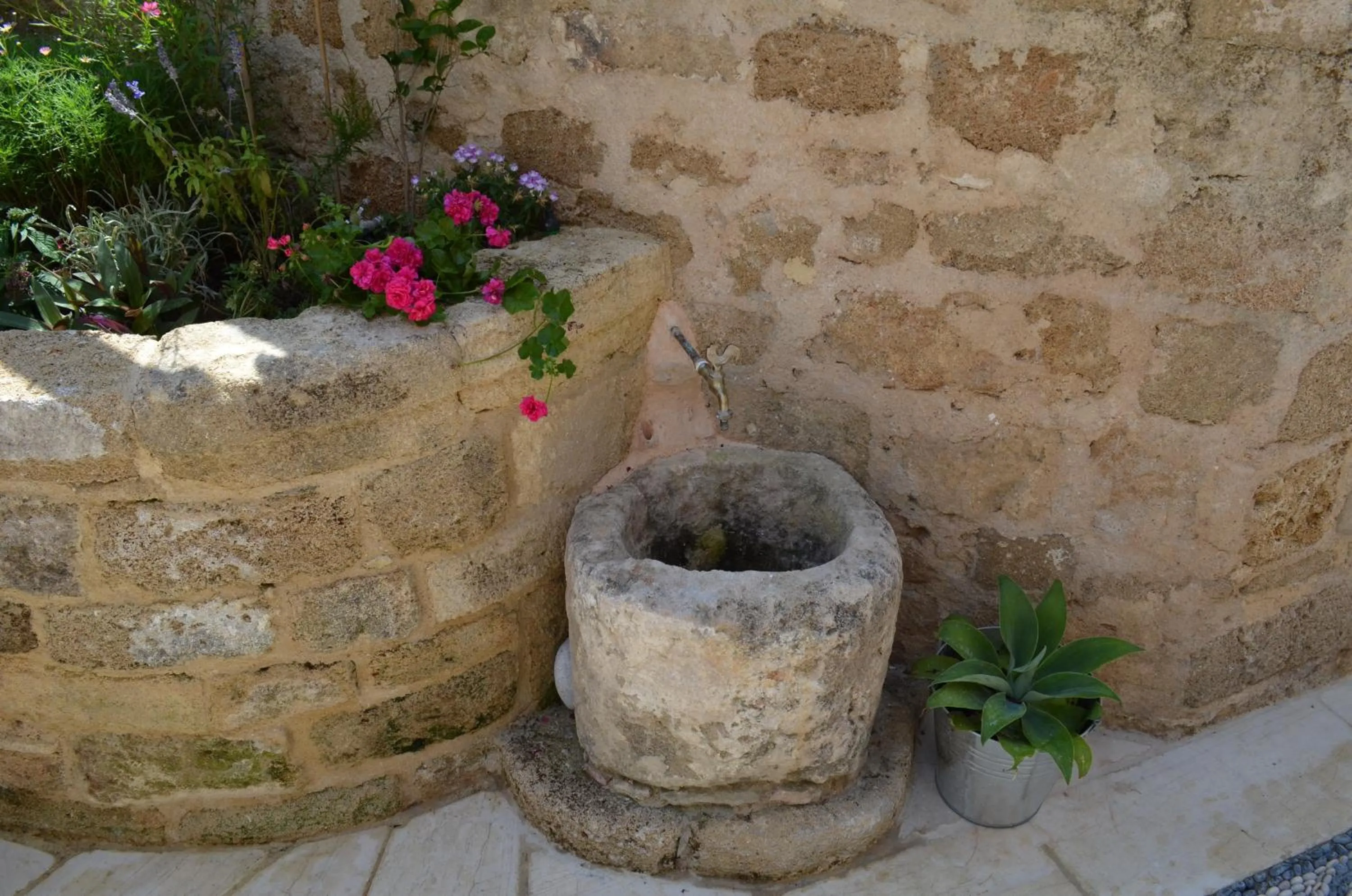 Garden in Hotel Ellique