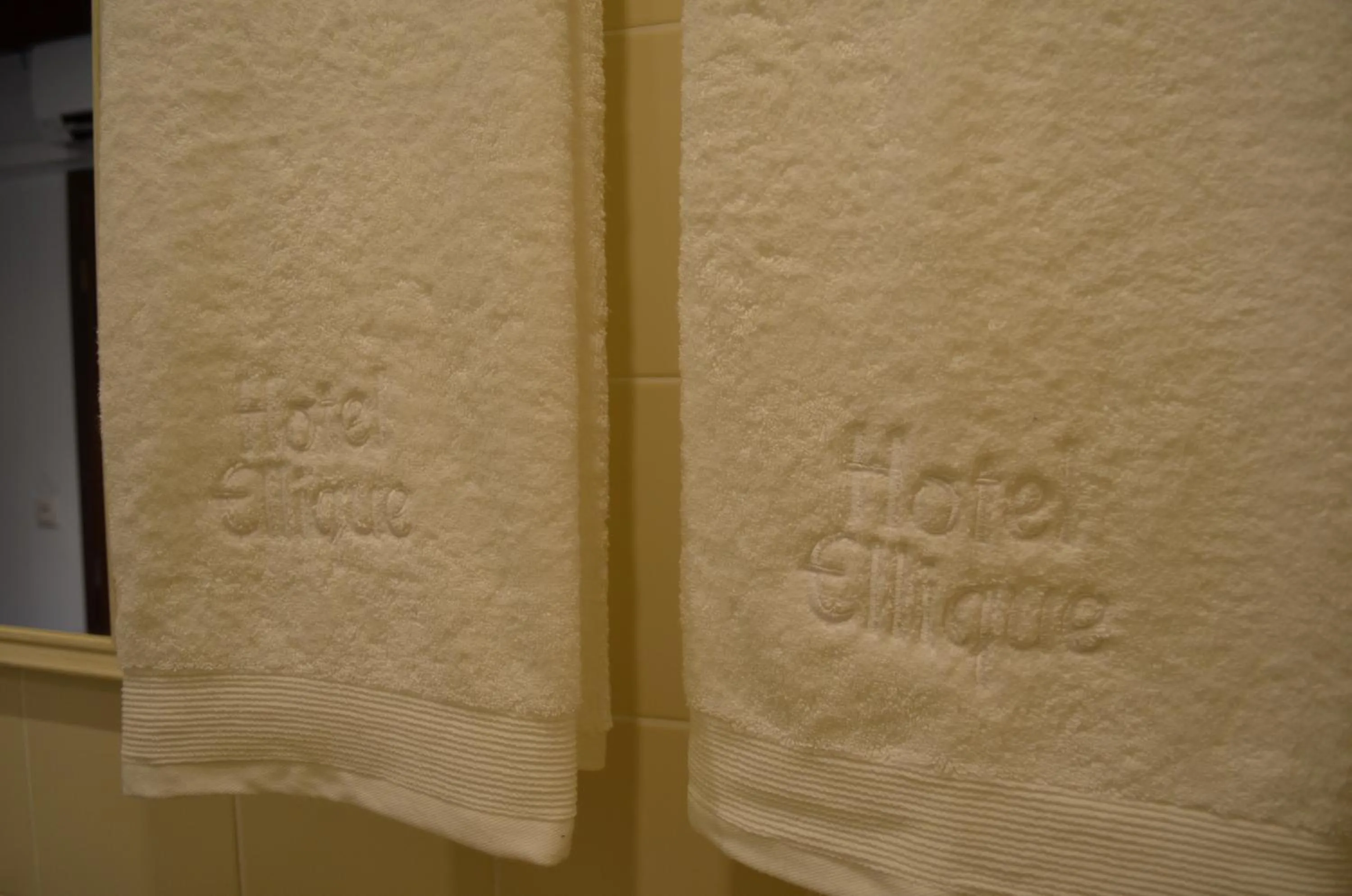 Decorative detail in Hotel Ellique