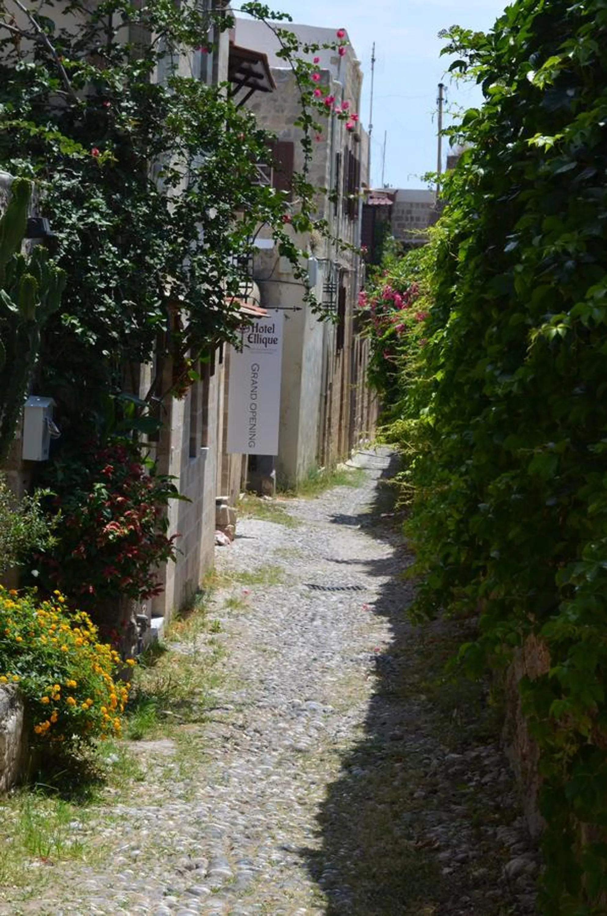 Neighbourhood in Hotel Ellique