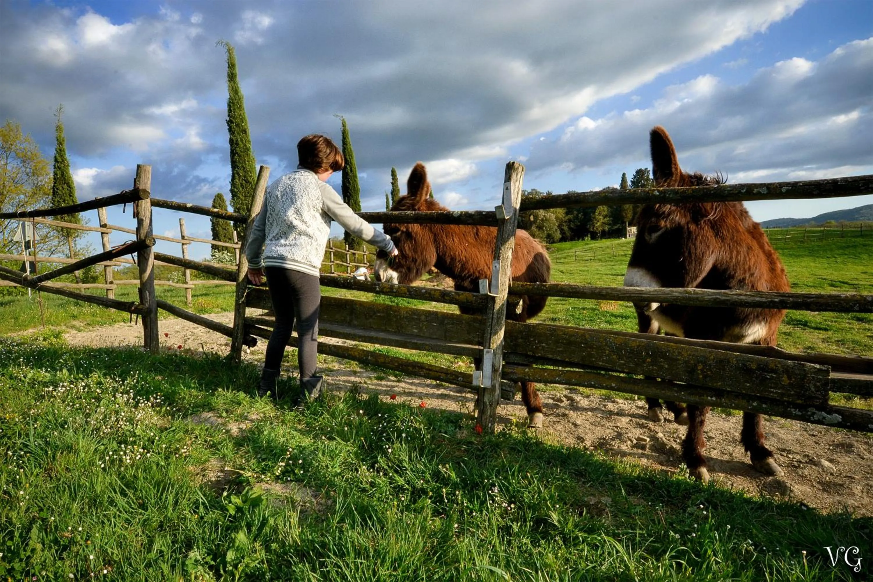 Pets in Podere Suvignano