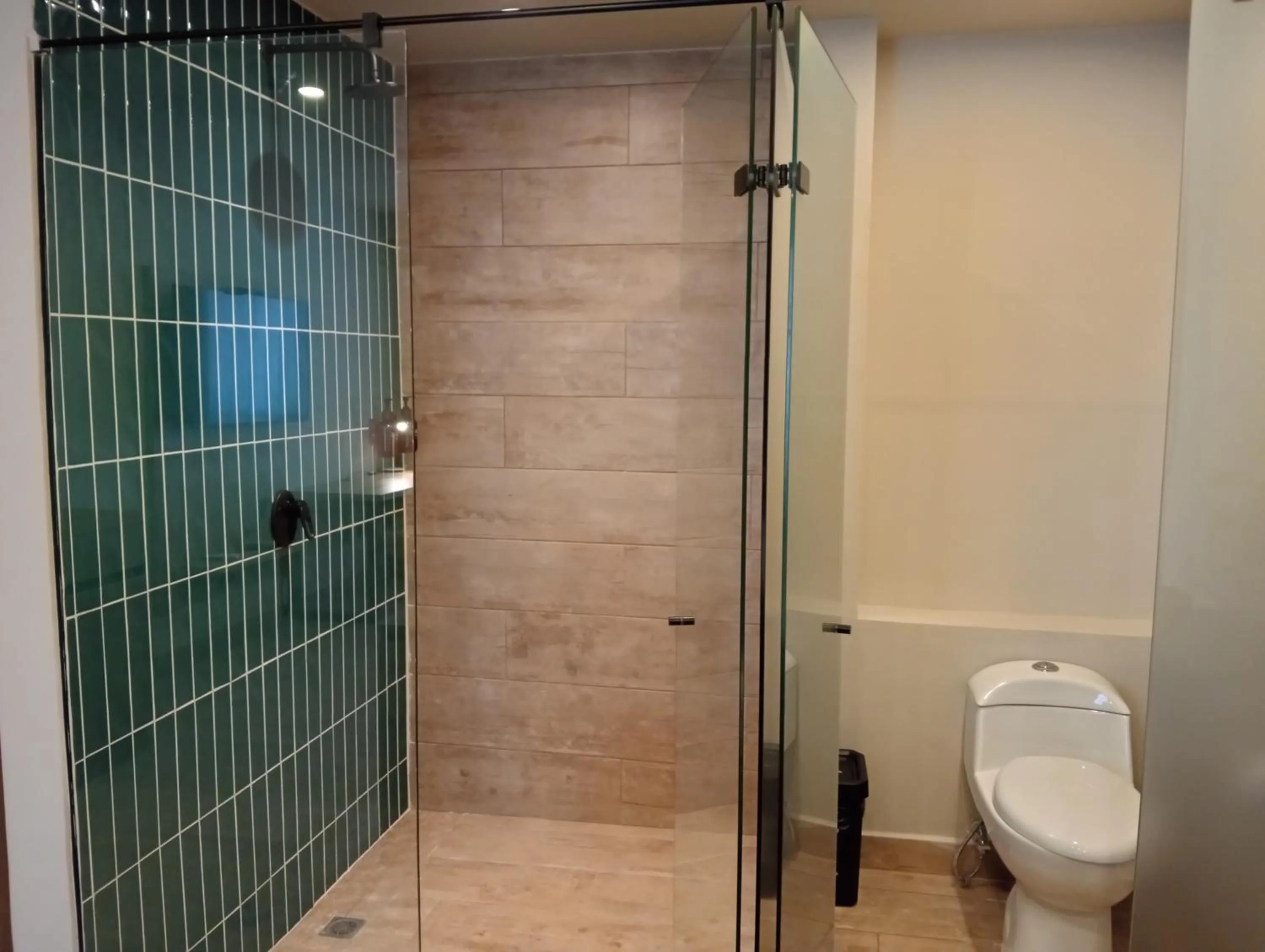 Bathroom in Hotel Rulay Medellin