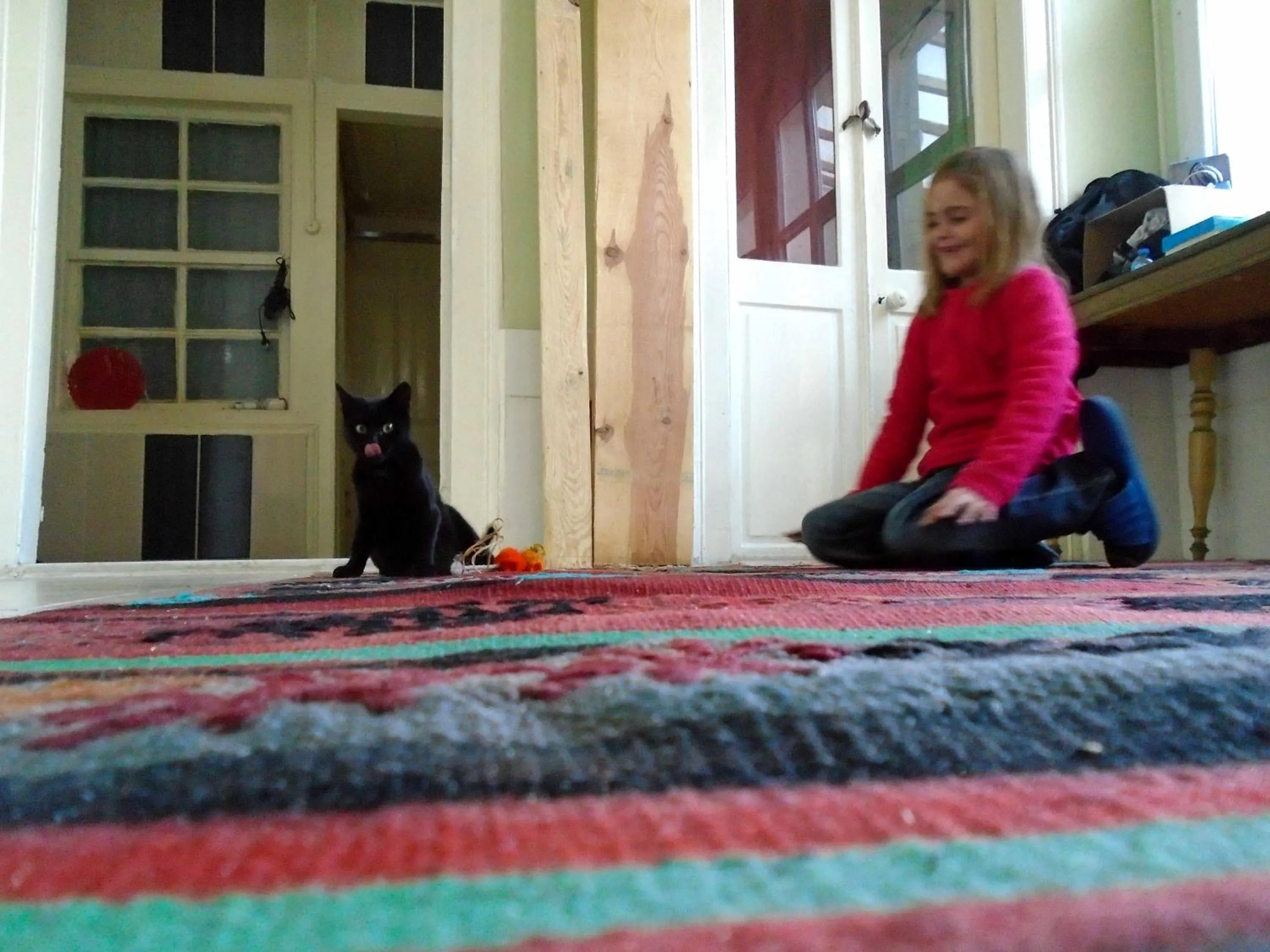 young children in Lotus Garden Hostel Izmir