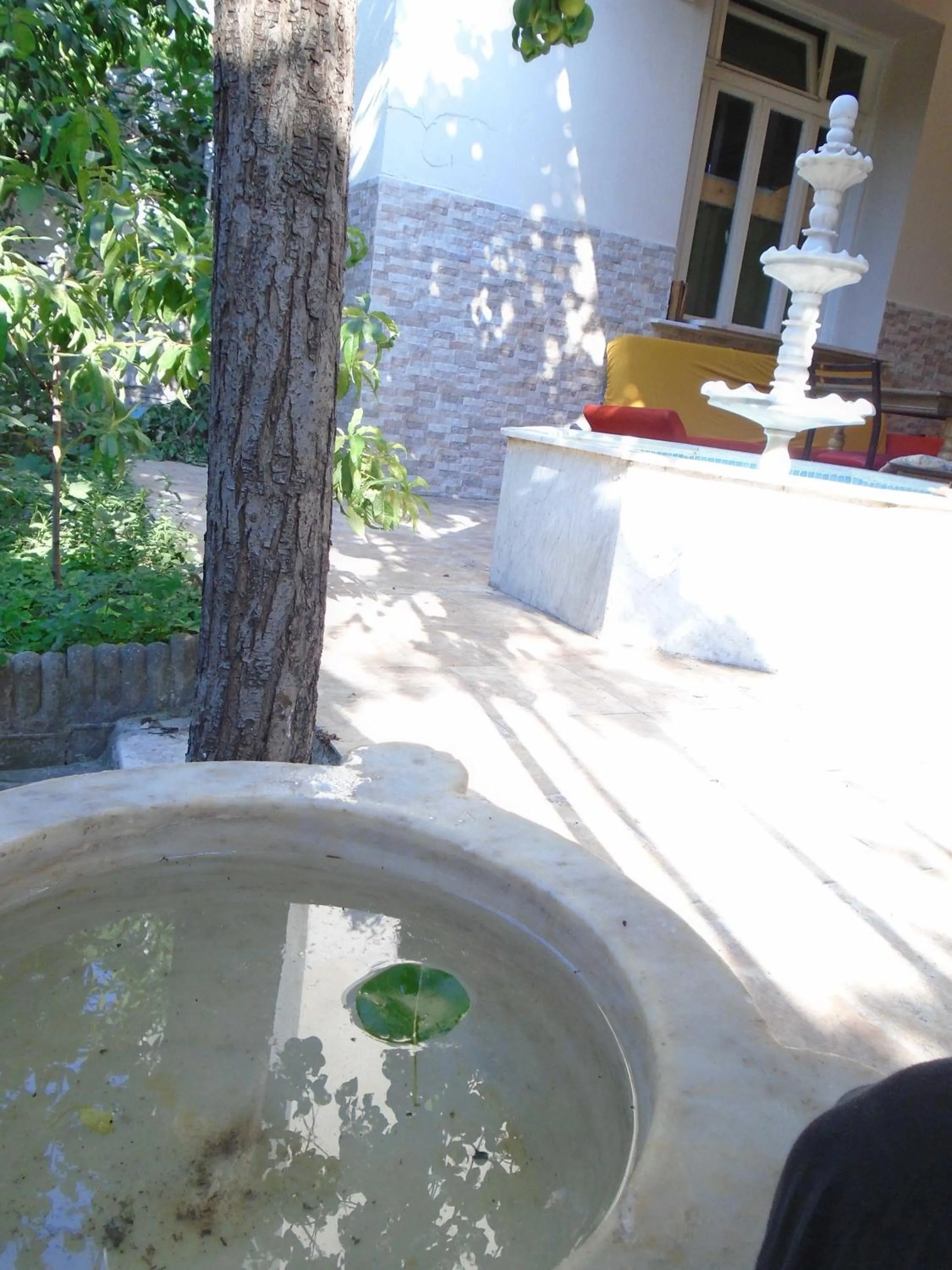 Garden in Lotus Garden Hostel Izmir