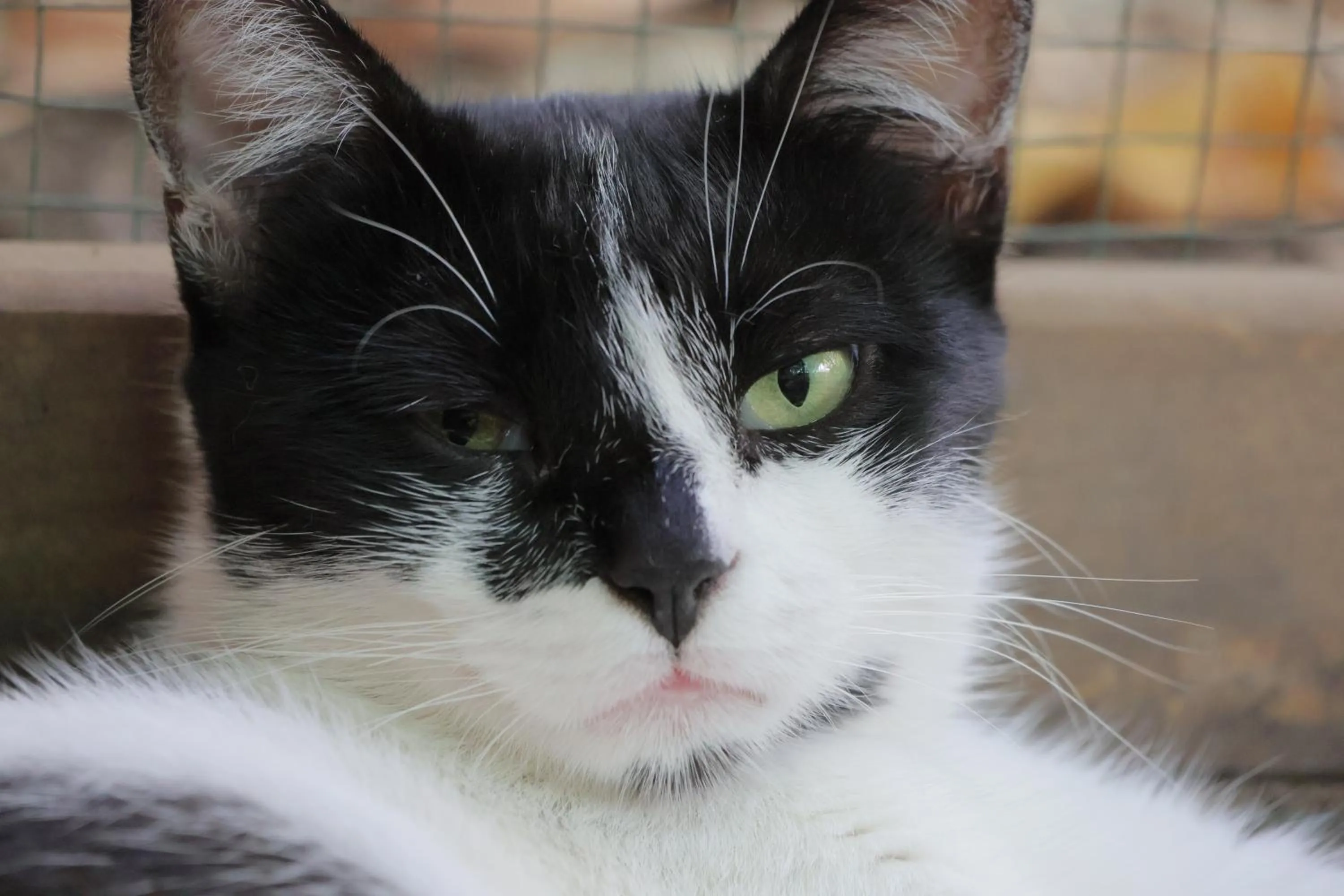 Lotus Garden Hostel Izmir