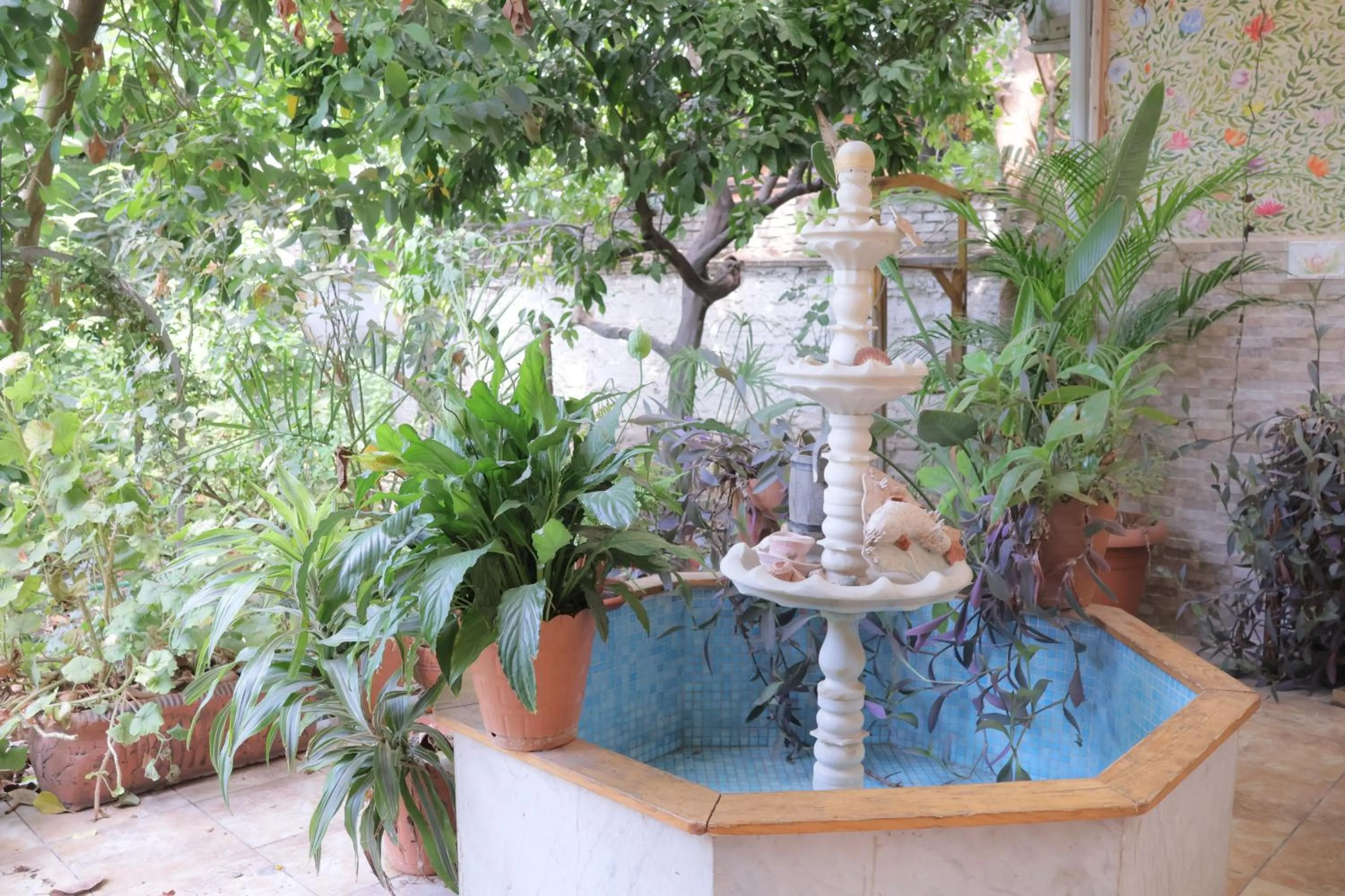 Lotus Garden Hostel Izmir