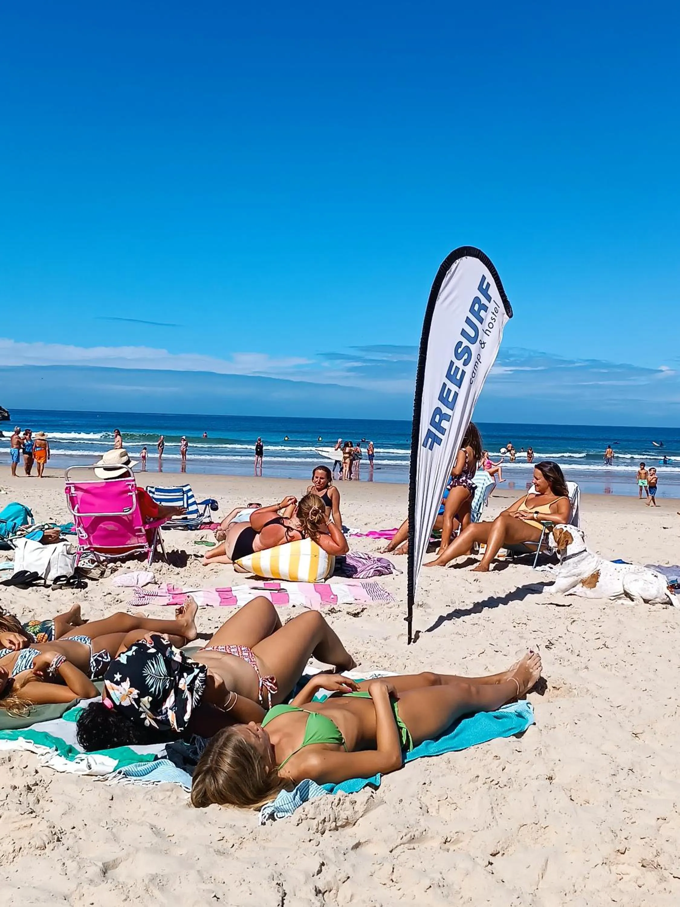 People in FreeSurfCamp