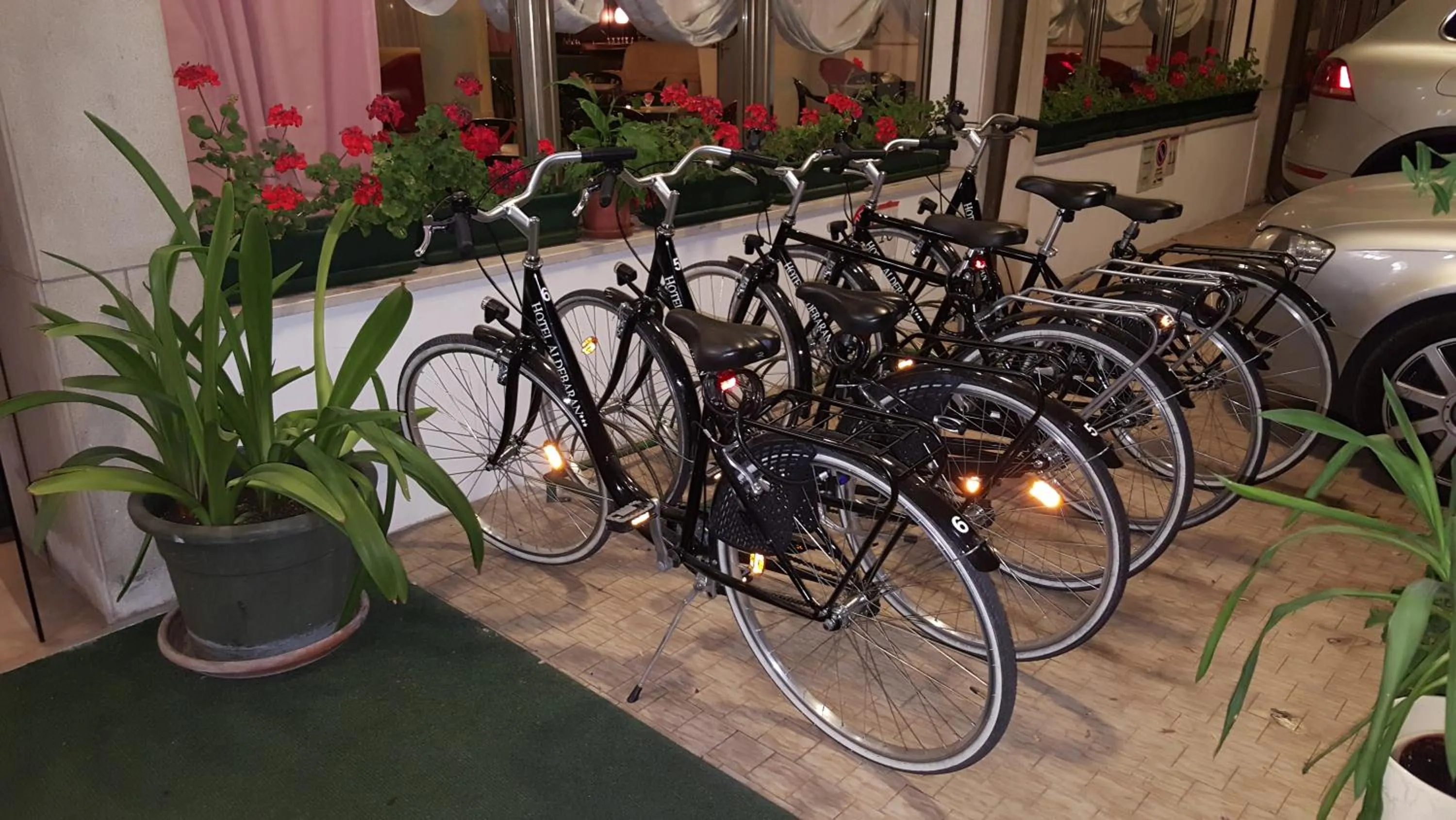 Activities in Hotel ALDEBARAN