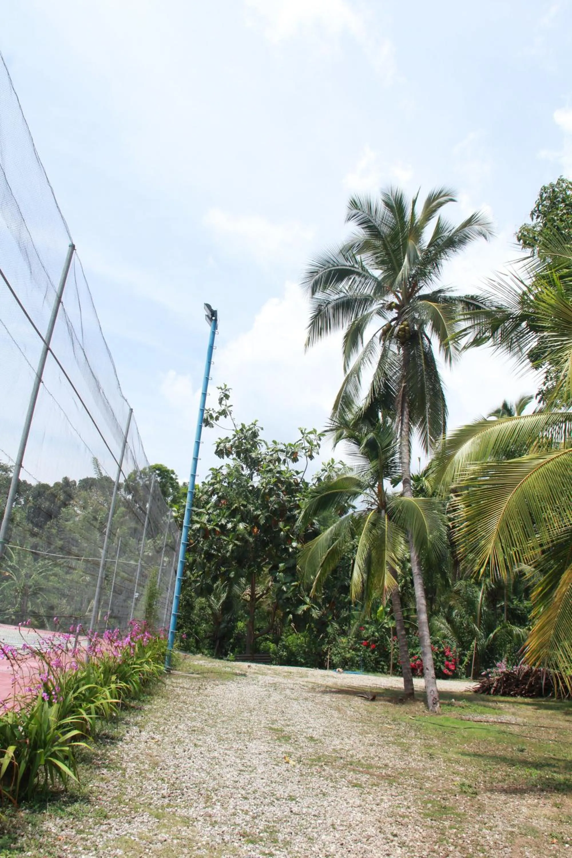 Other in Anura Guest Inn