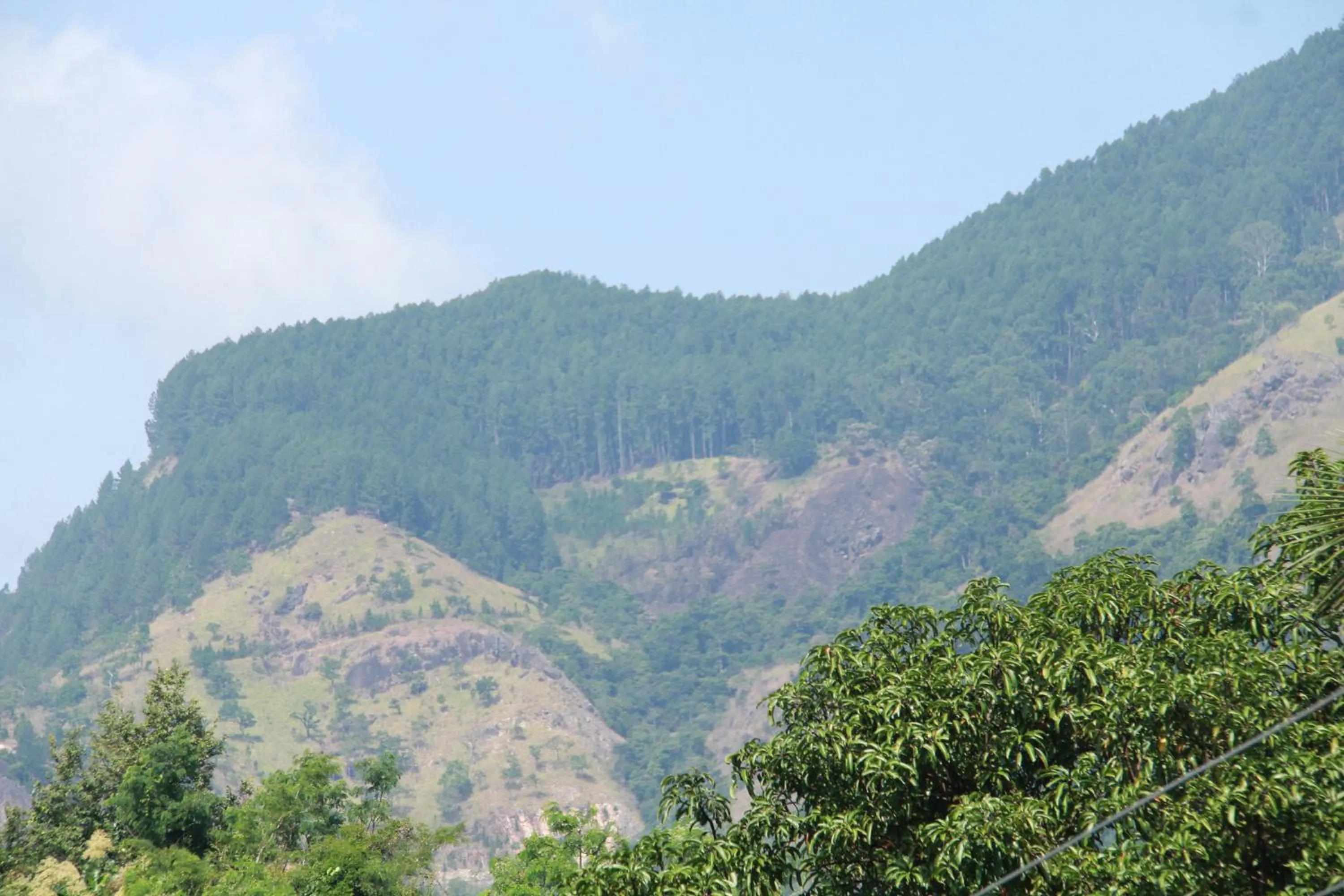 Other in Anura Guest Inn