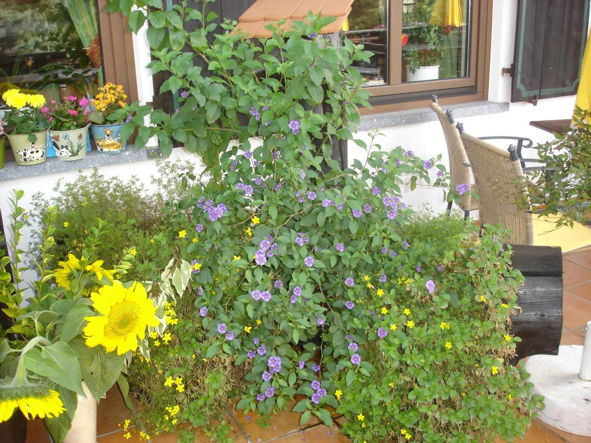 Area and facilities in Landhotel Zur Post