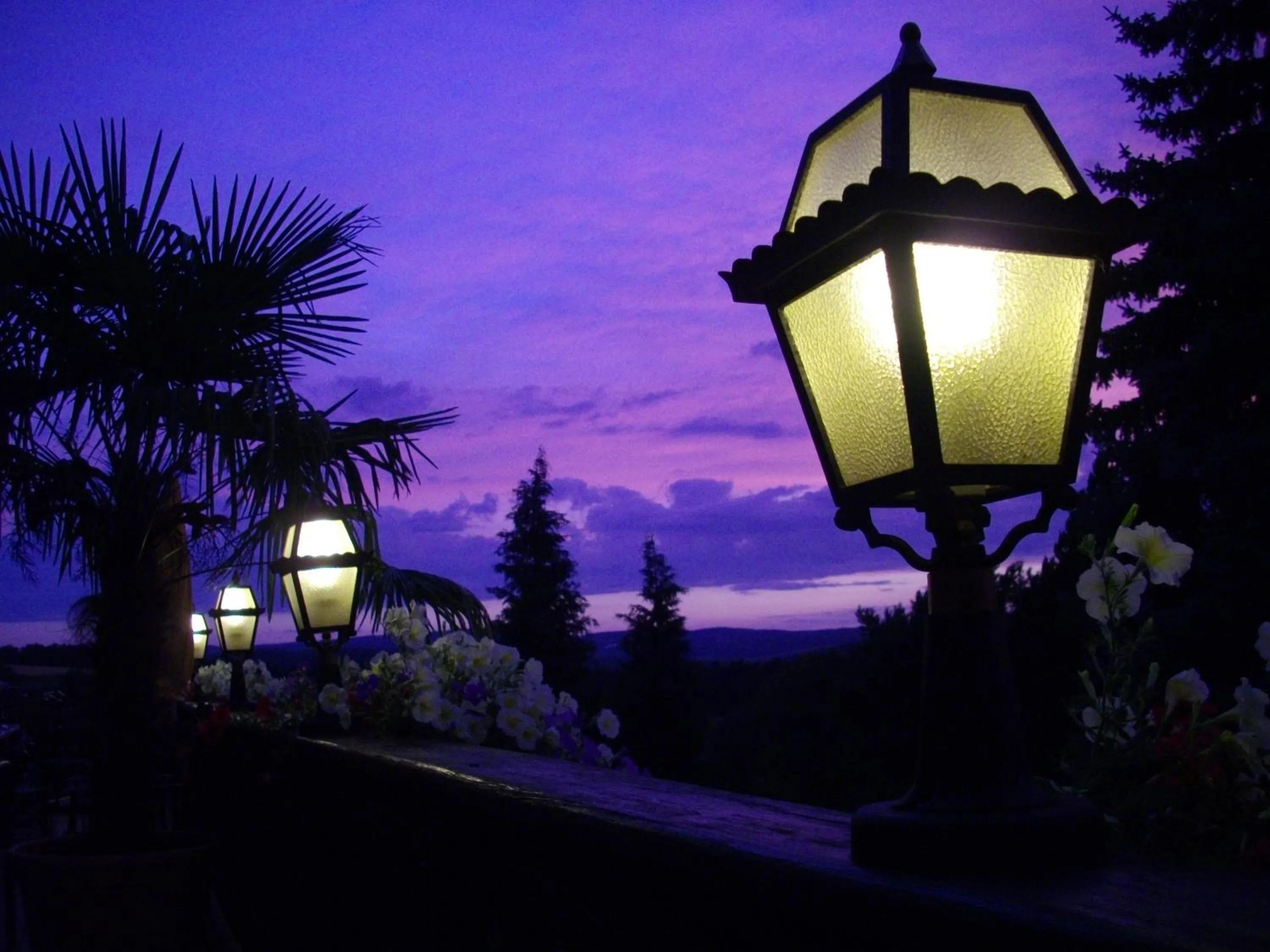 Balcony/Terrace in Landhotel Zur Post