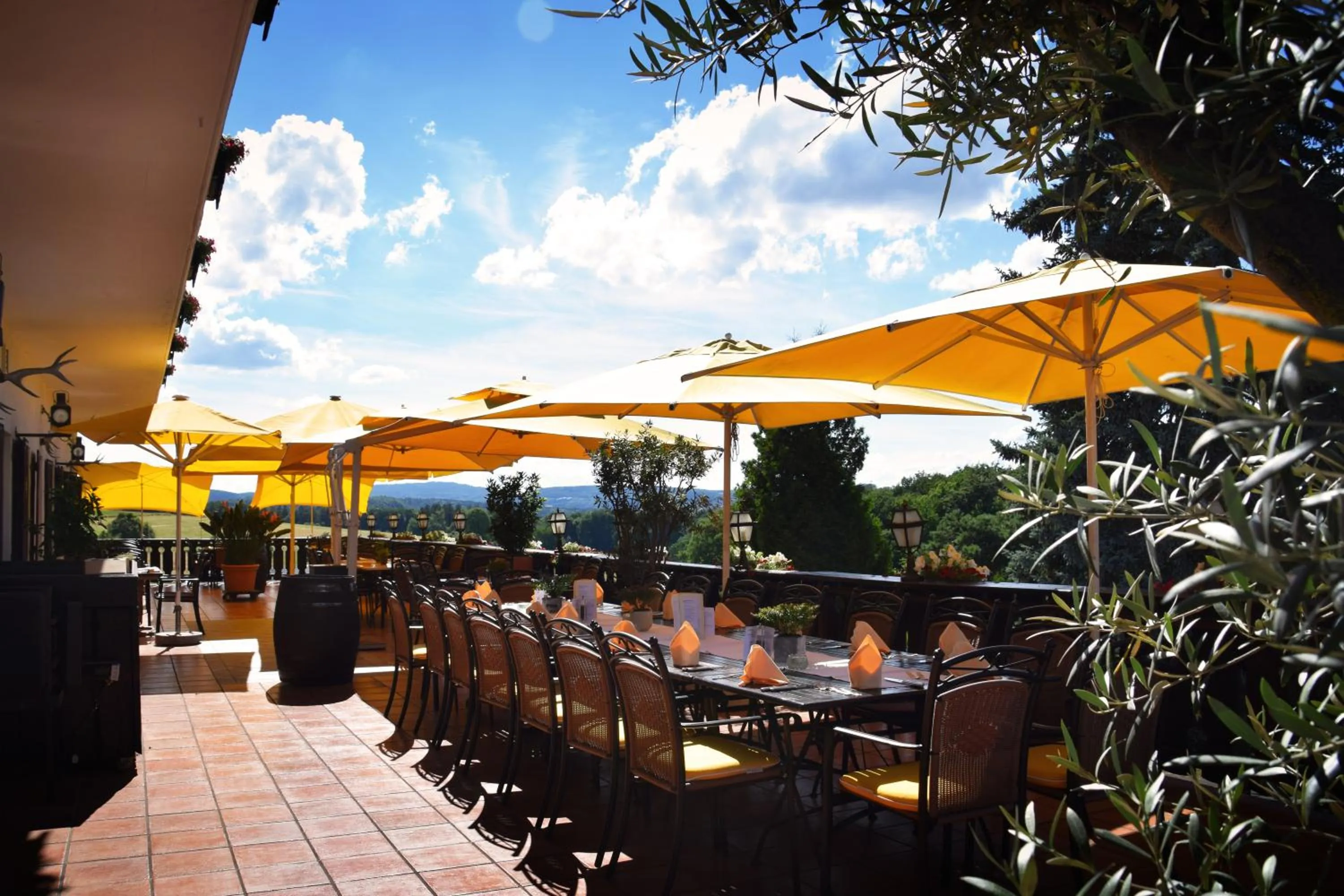 Restaurant/places to eat in Landhotel Zur Post