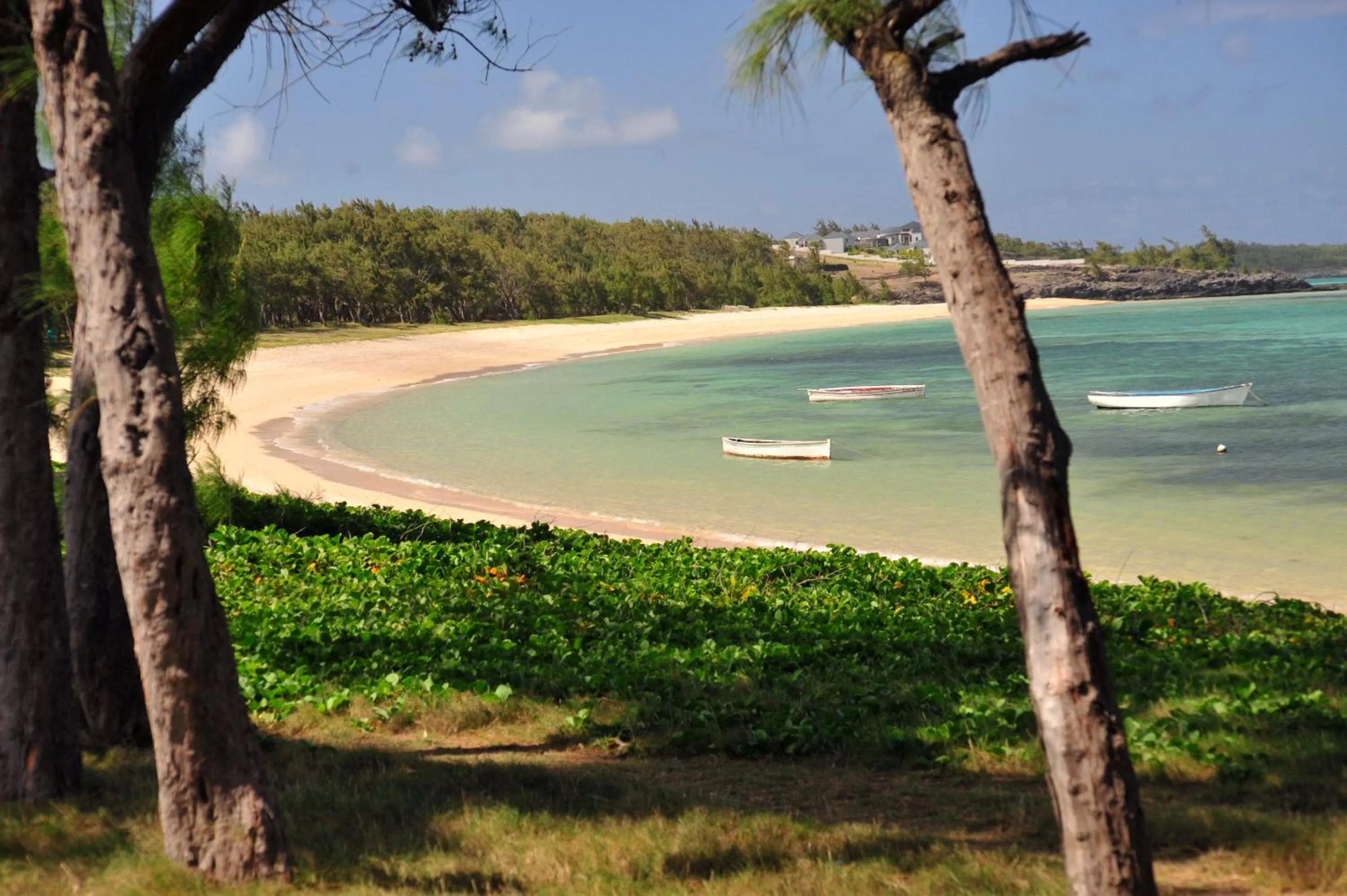 Natural landscape in Chez Ronald Guest House
