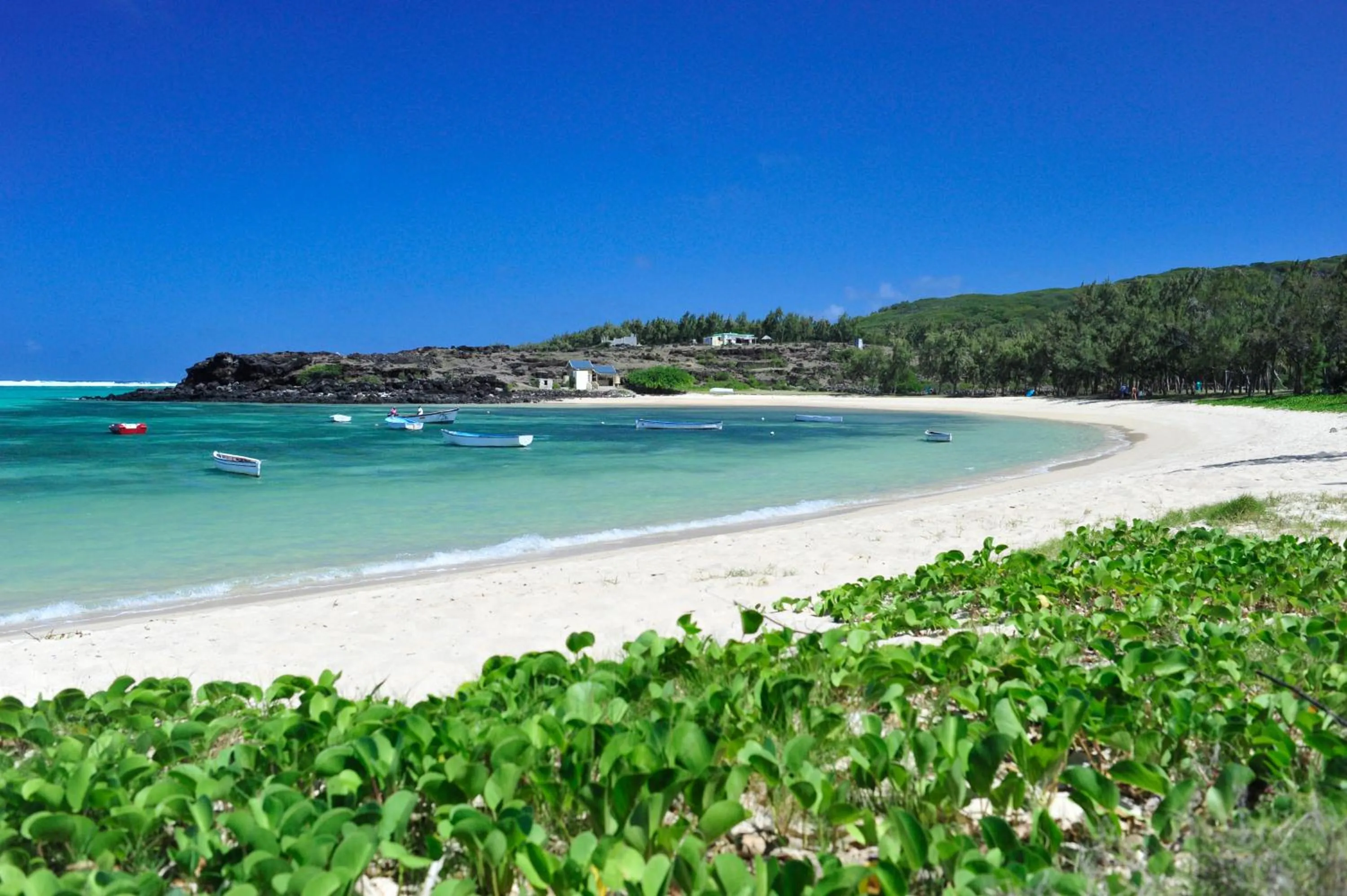 Natural landscape in Chez Ronald Guest House
