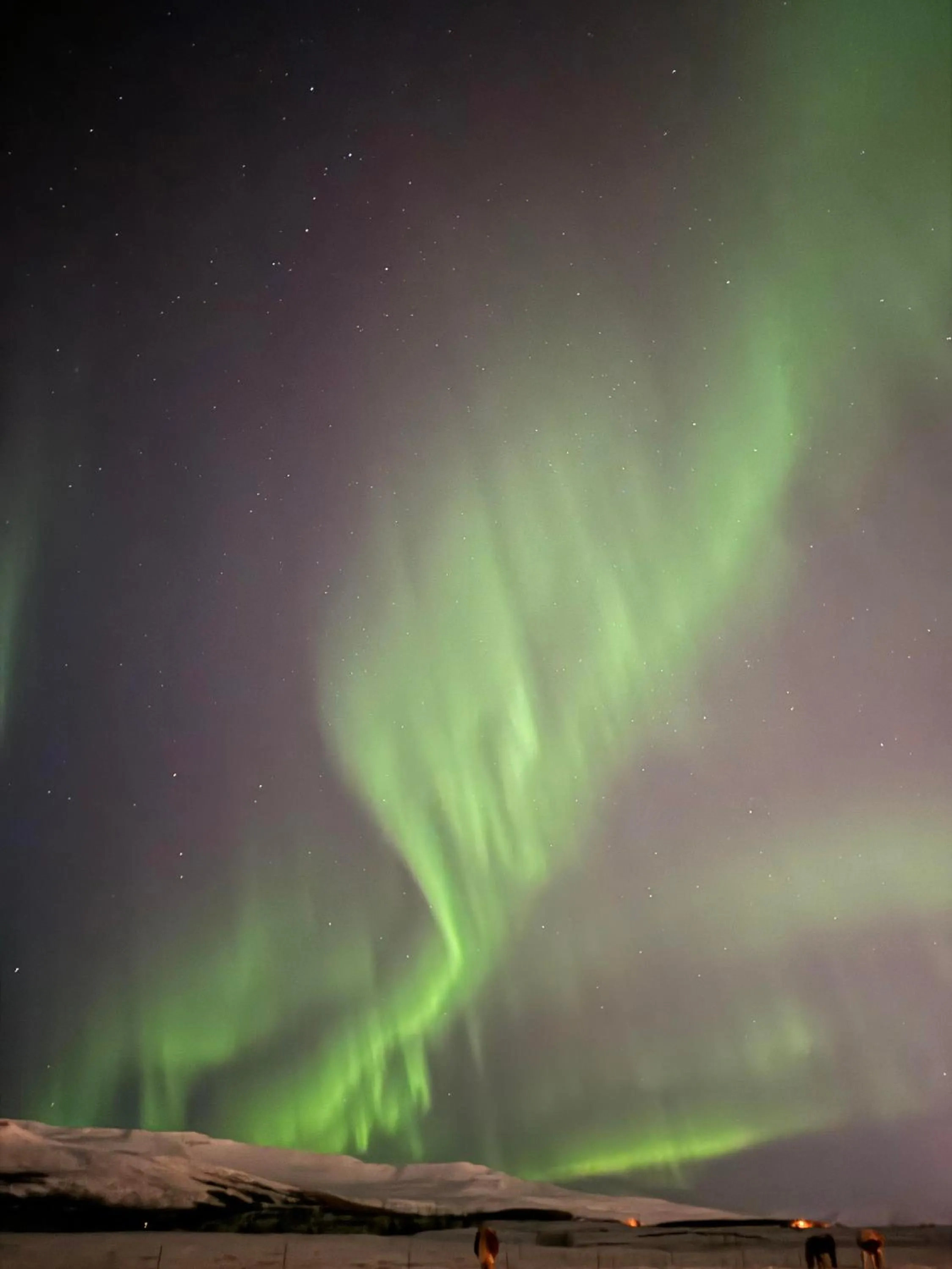 Natural landscape in Hotel Kjarnalundur- Aurora Dream - Lodges and Rooms