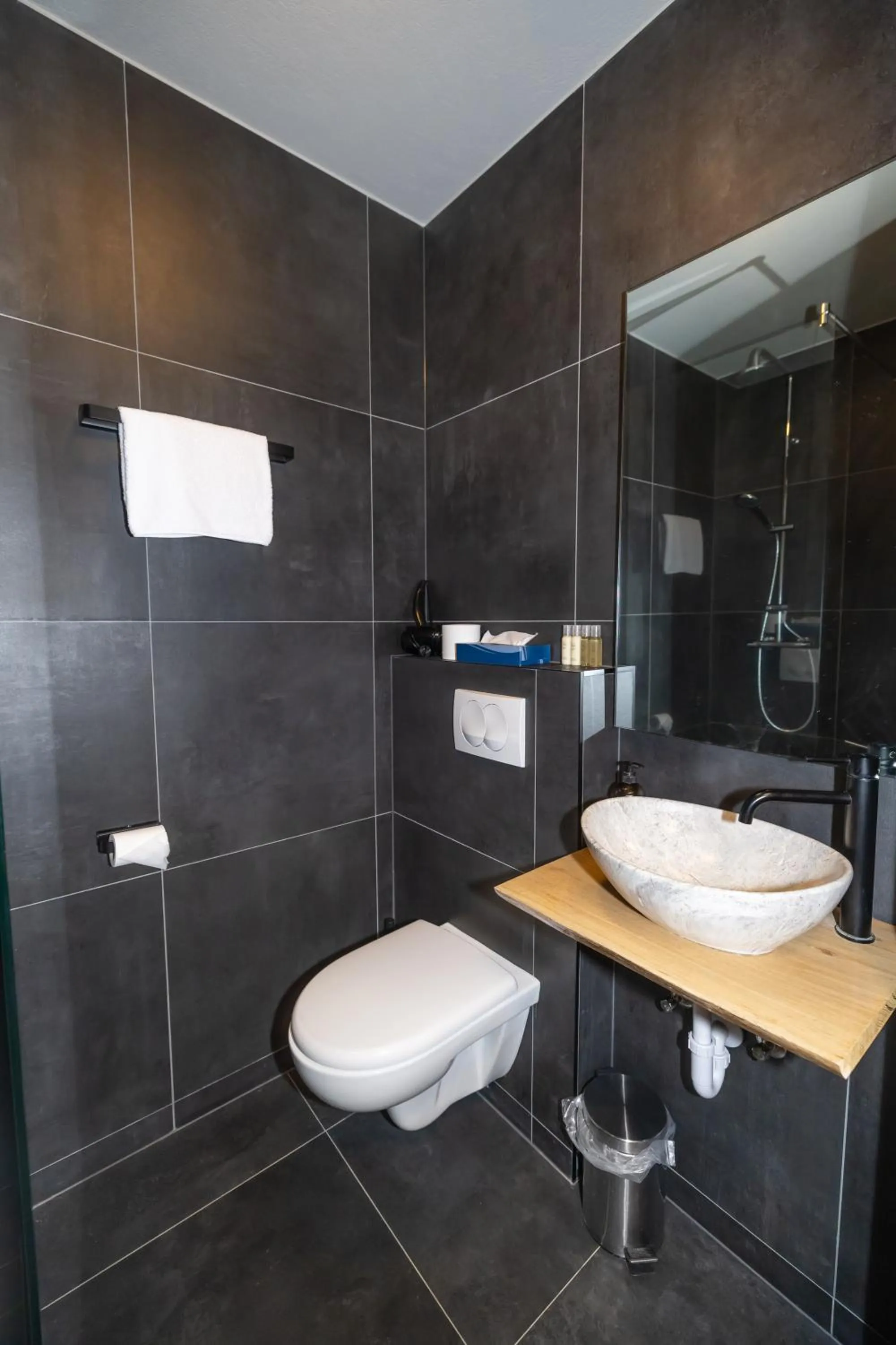 Bathroom in Hotel Kjarnalundur- Aurora Dream - Lodges and Rooms