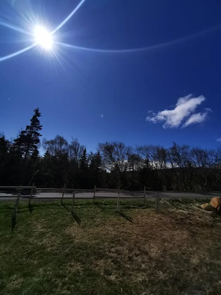 Hotel Kjarnalundur- Aurora Dream - Lodges and Rooms