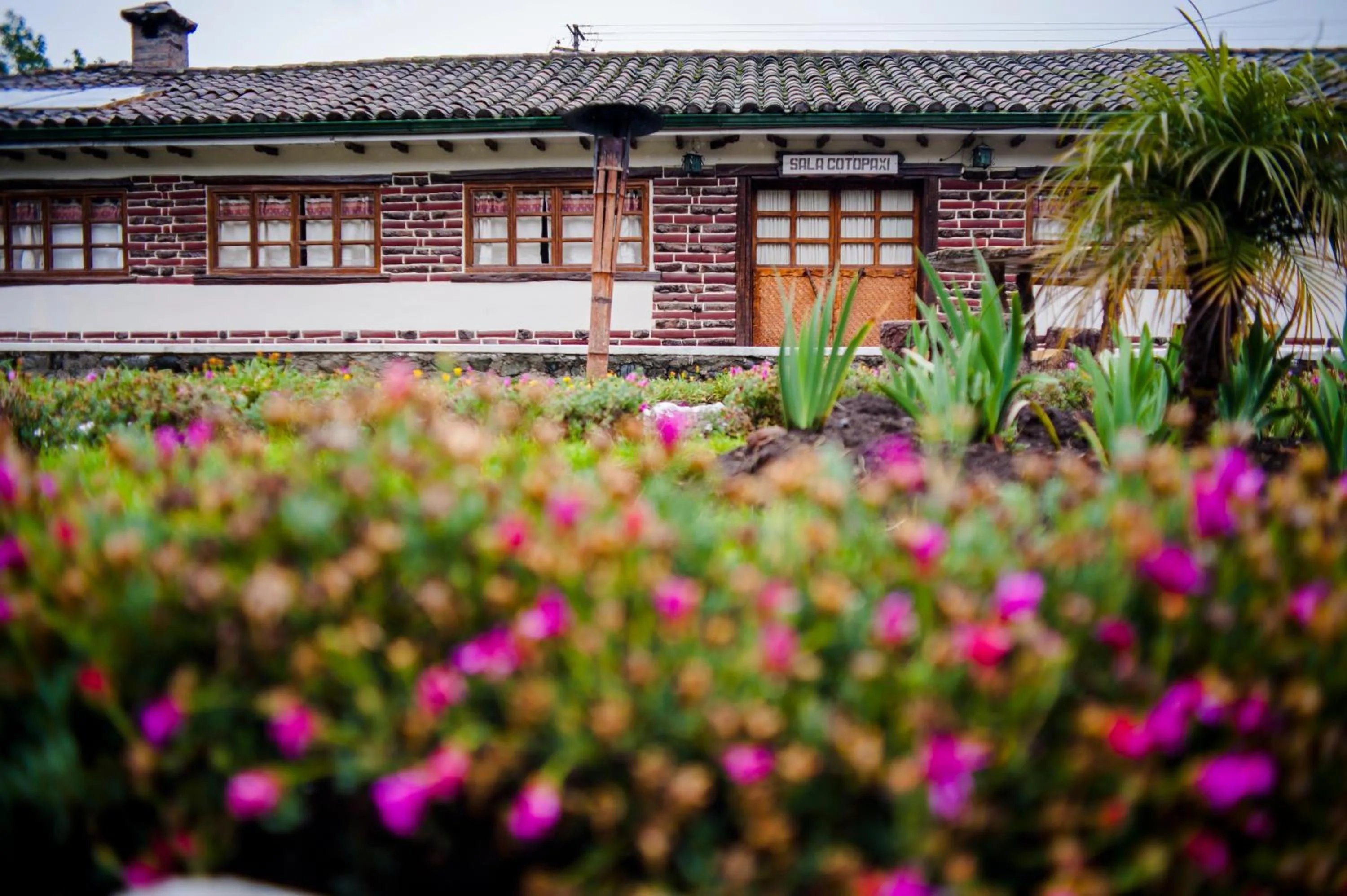 Garden in Hosteria Rumipamba De Las Rosas