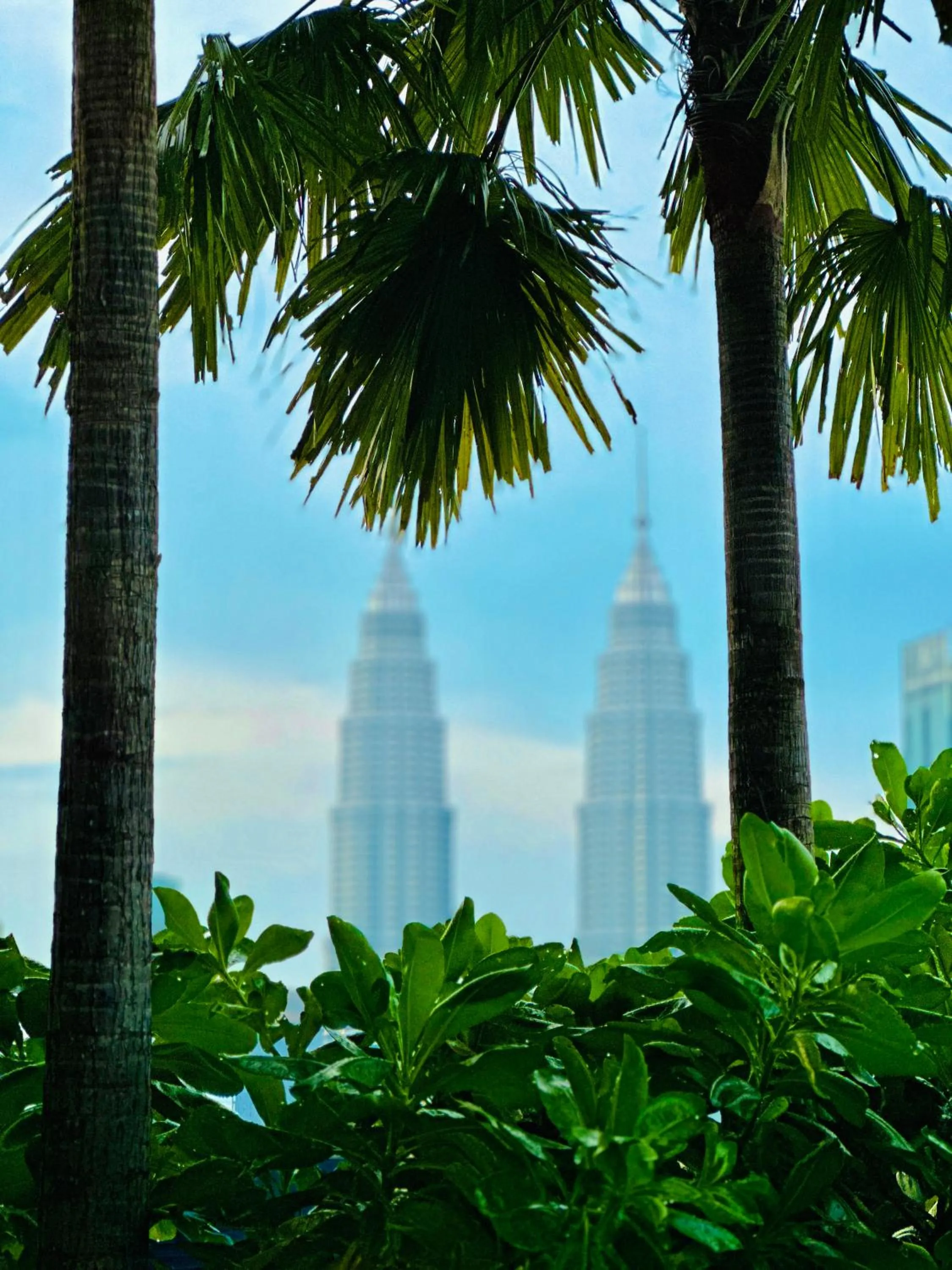 Pool view in Eaton Residences By Luna