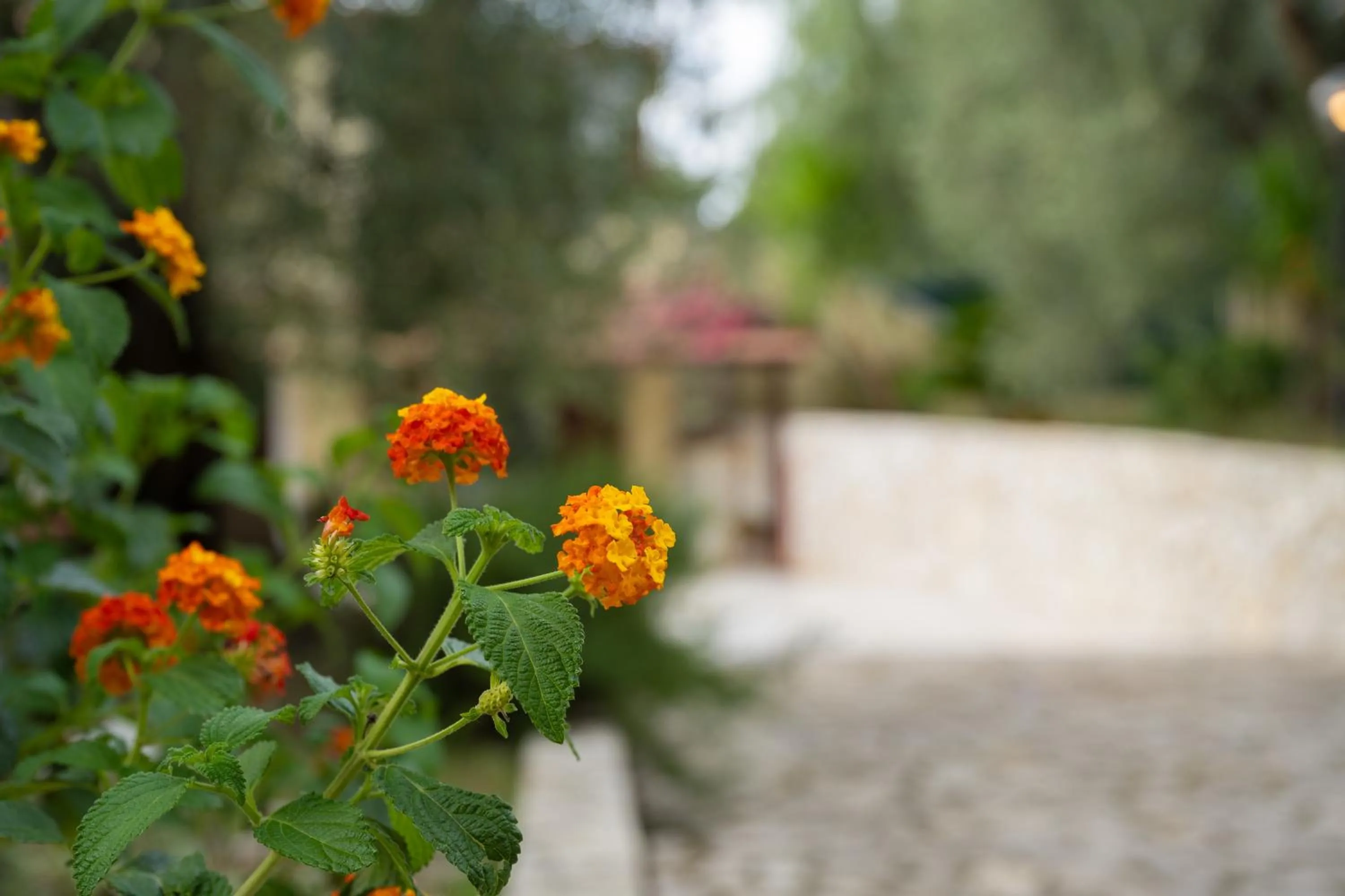 Property building in Villa La Vigna