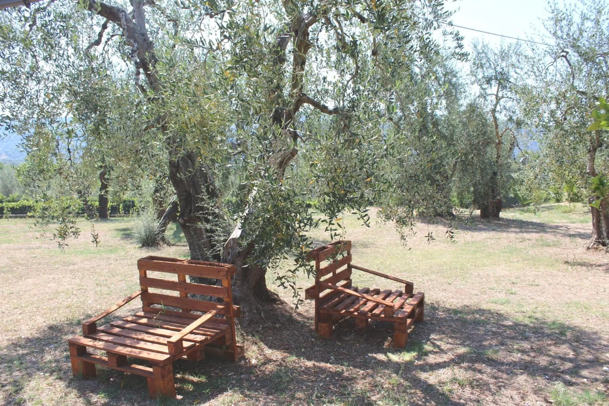 Garden in Villa La Vigna