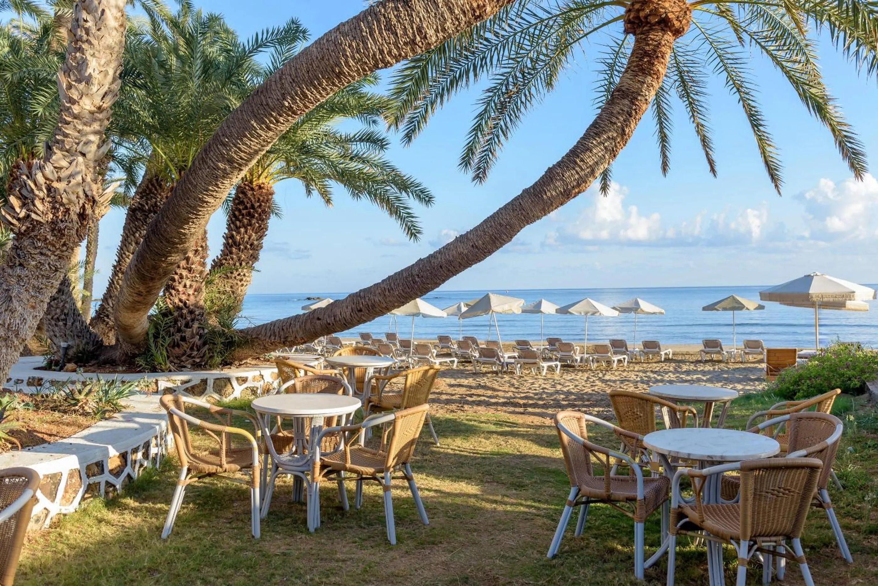 Balcony/Terrace in Zeus Hotels Palm Beach