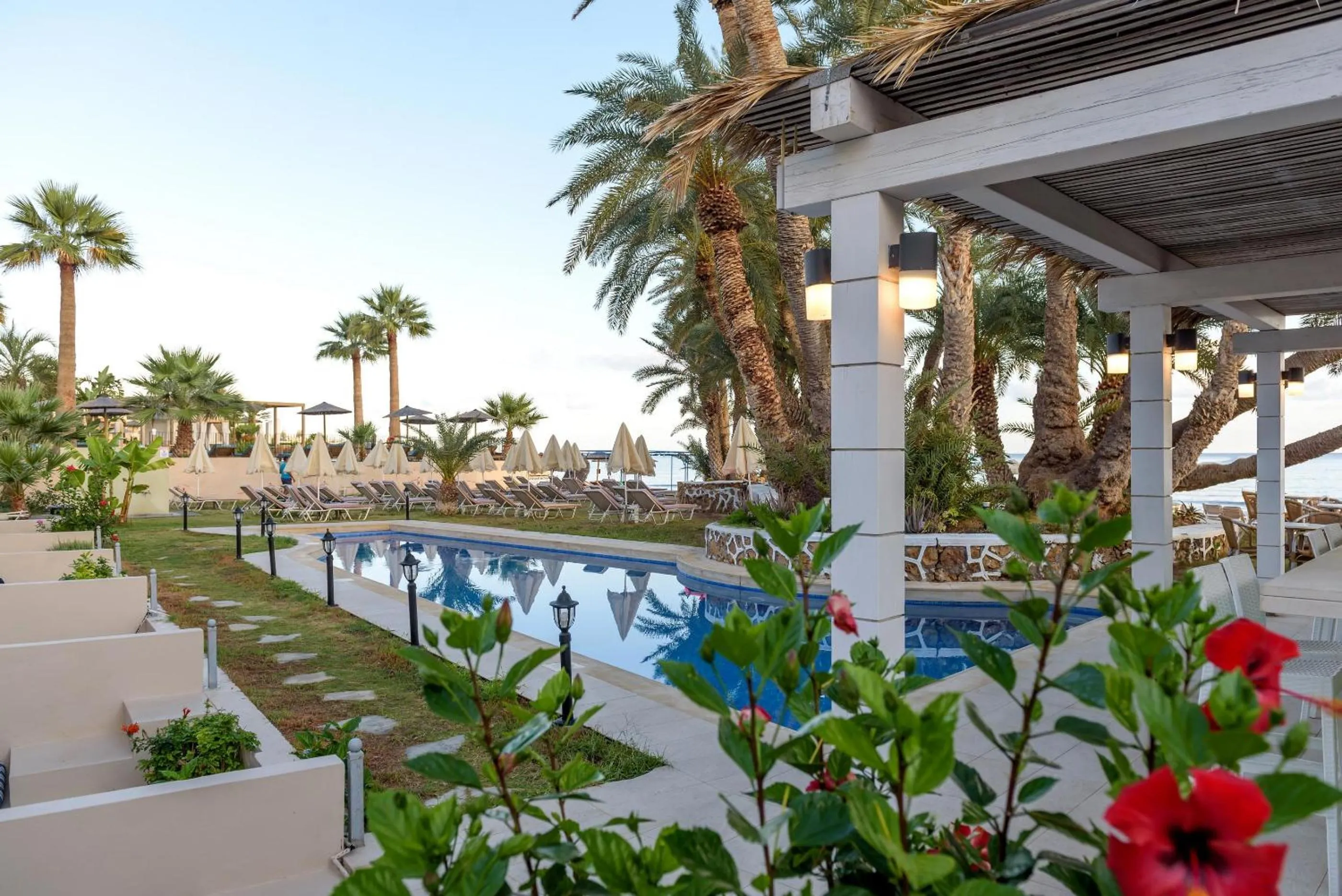 Swimming pool in Zeus Hotels Palm Beach