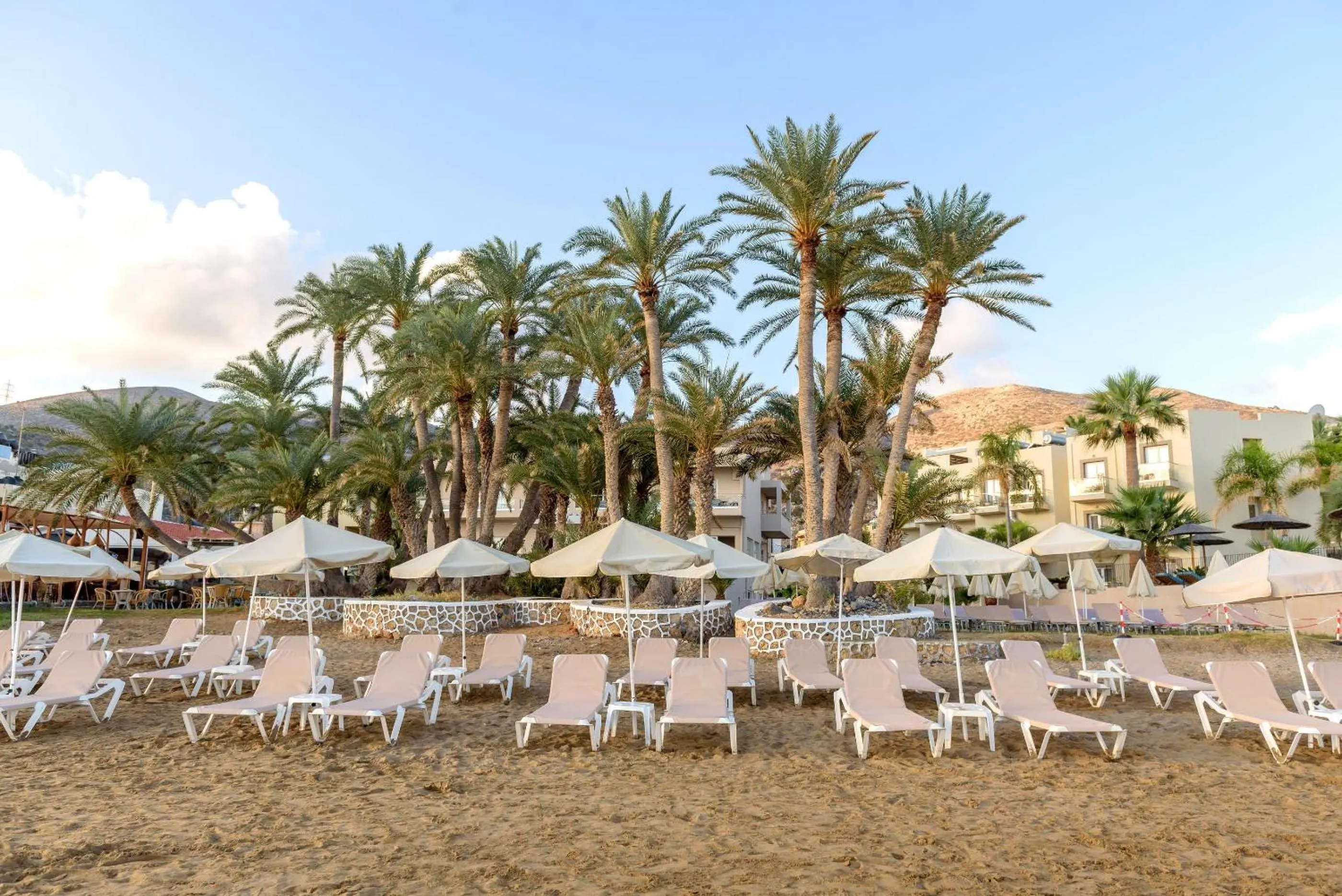 Beach in Zeus Hotels Palm Beach