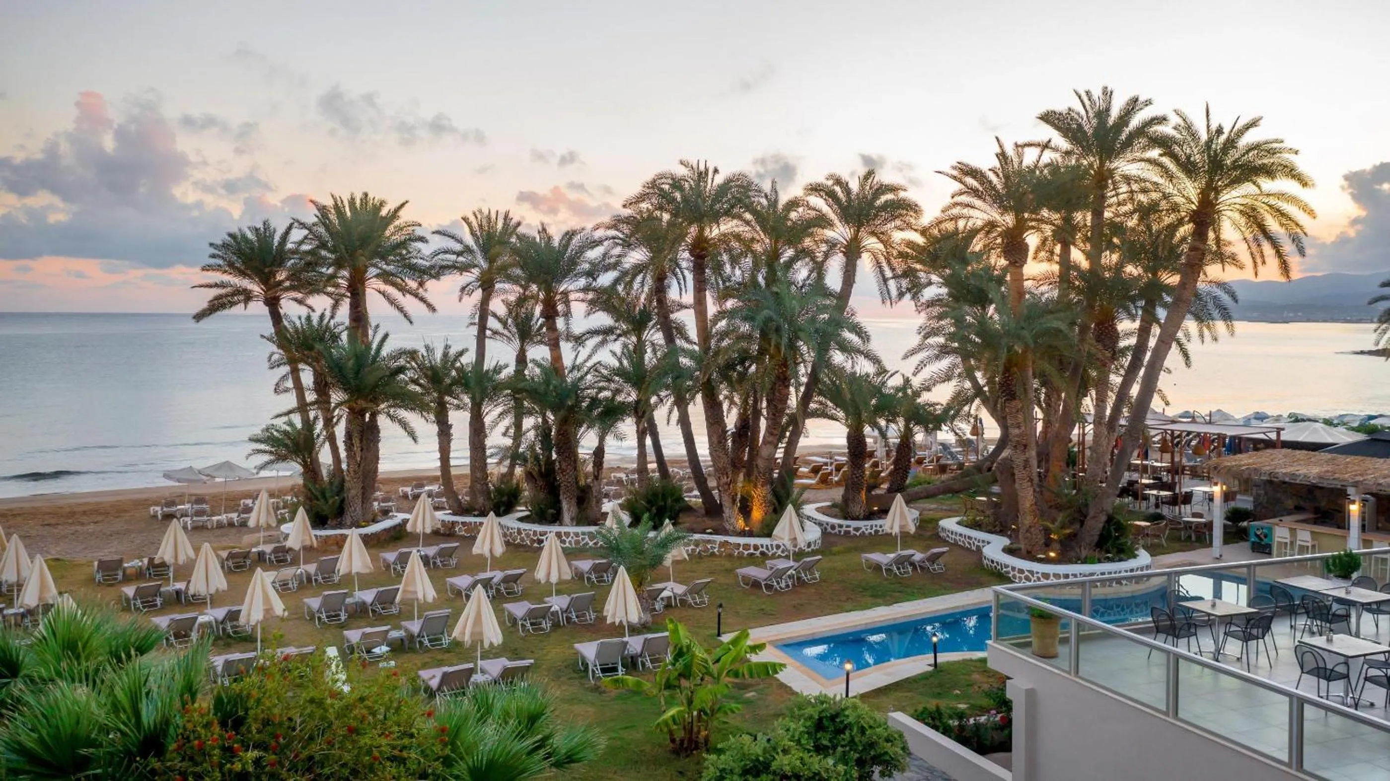 Garden in Zeus Hotels Palm Beach