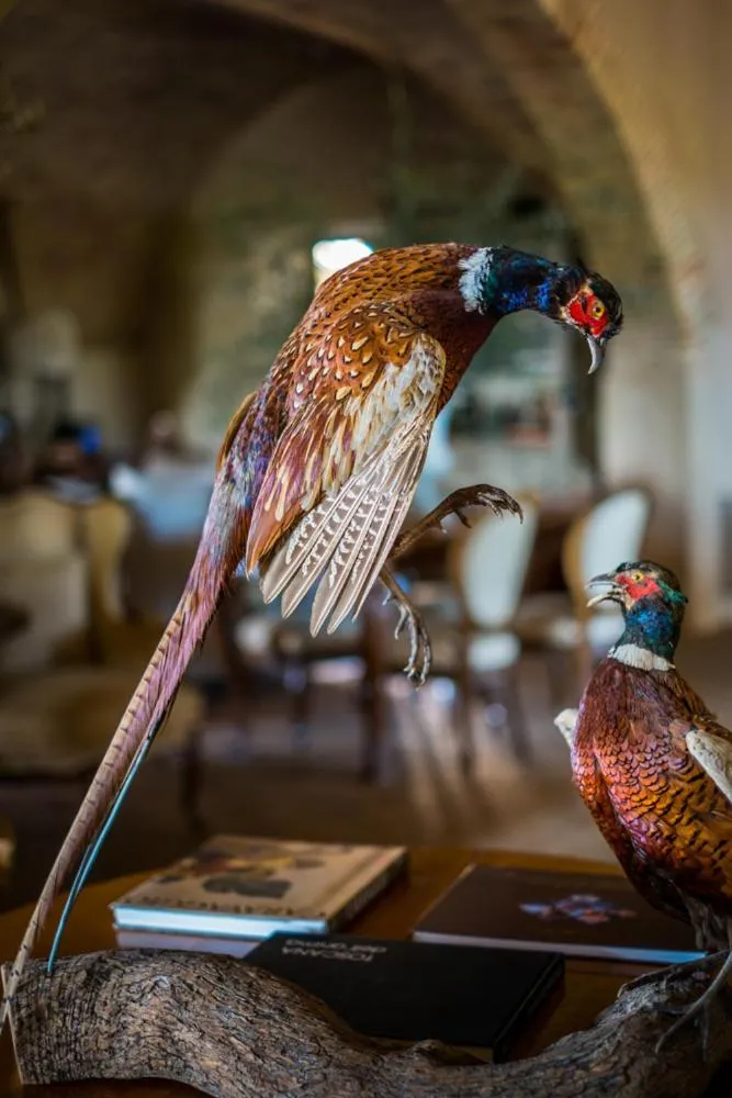 Communal lounge/ TV room in Relais Sant'Elena