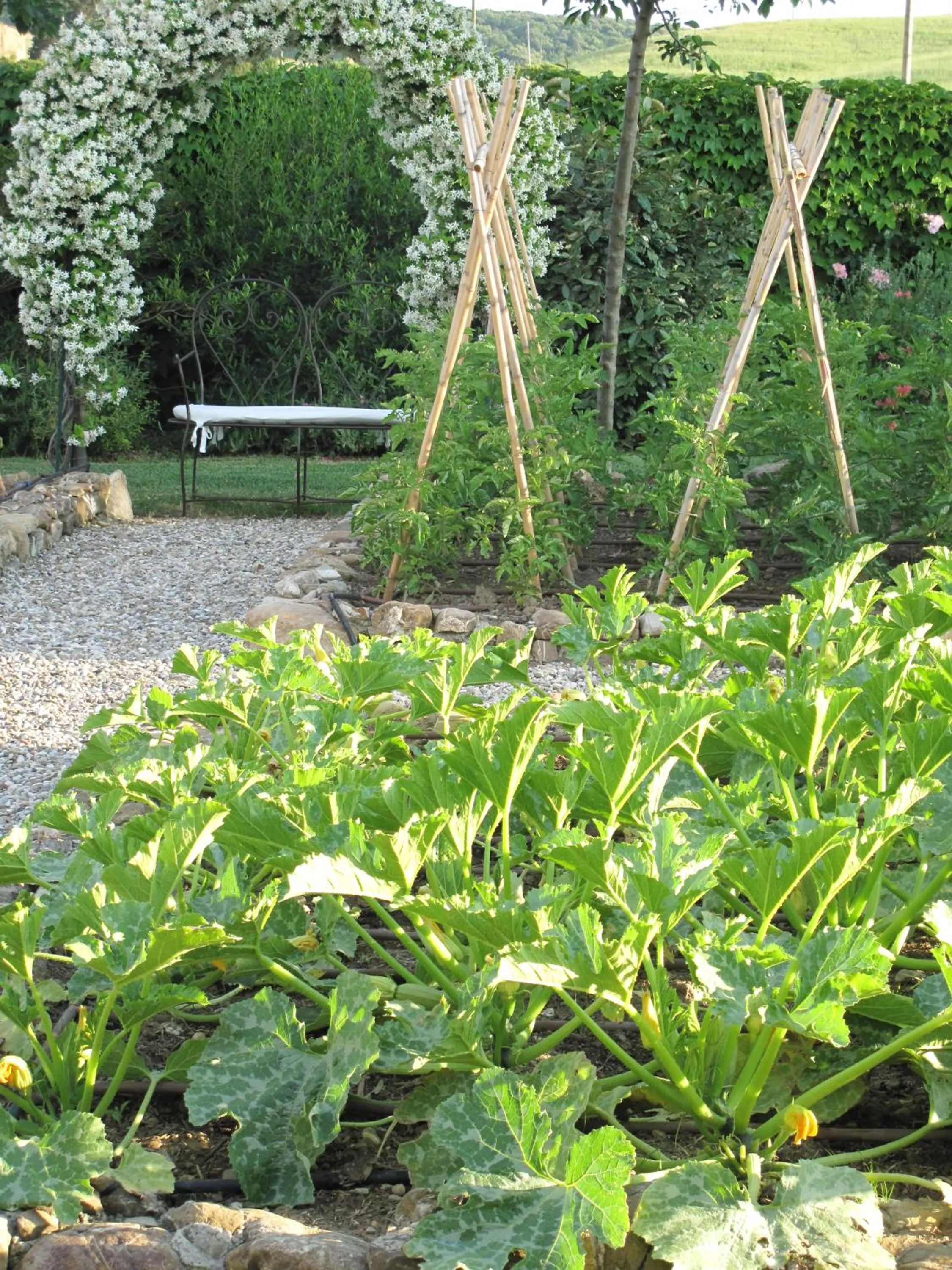 Garden in Relais Sant'Elena