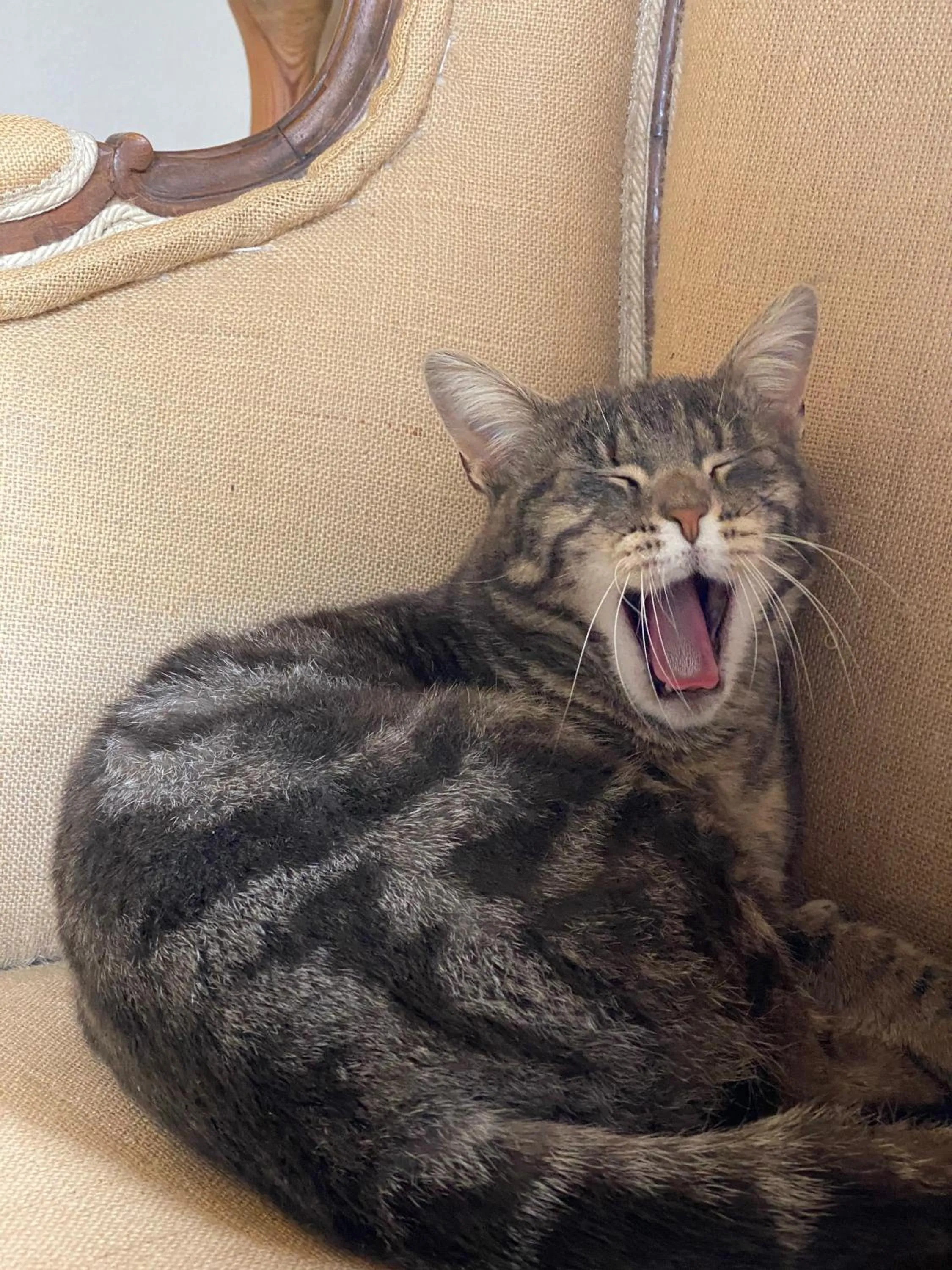 Animals in Relais Sant'Elena