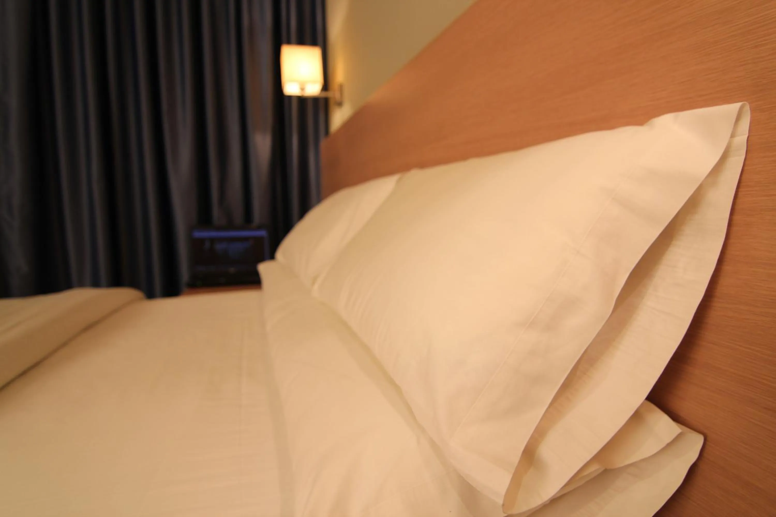 Photo of the whole room, Bed in Hotel Alba