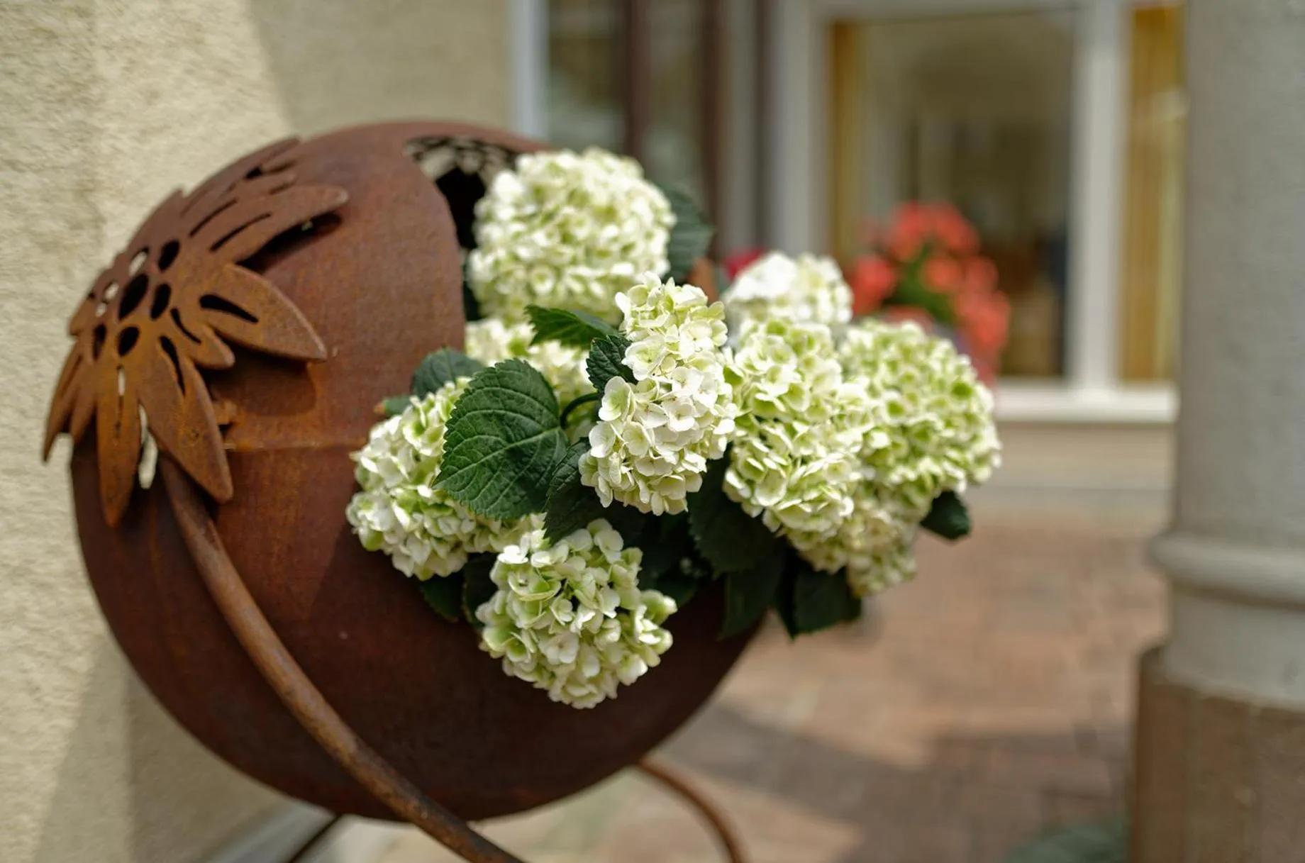 Area and facilities in Hotel Edelweiss