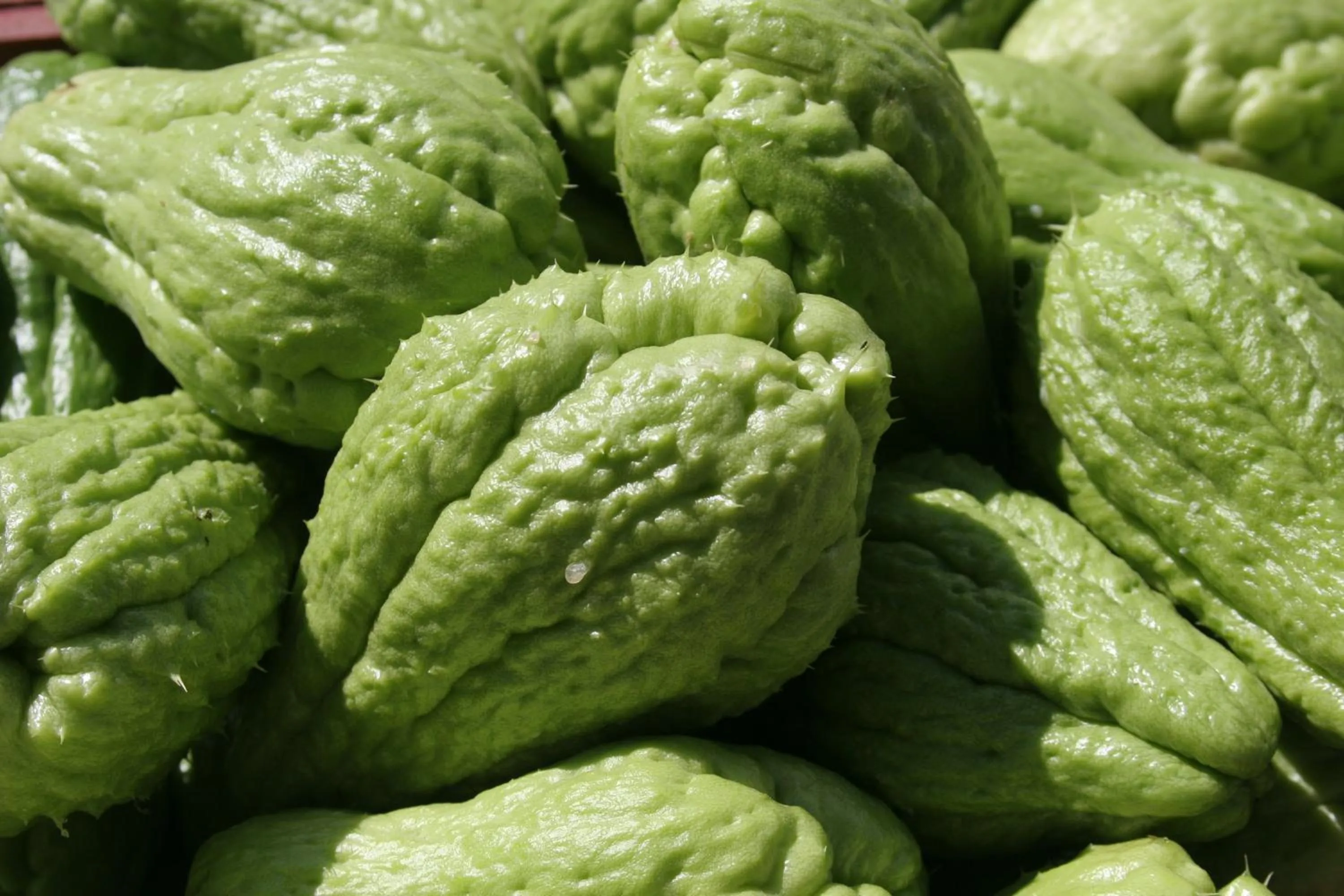 Other in Le Relais Des Cimes