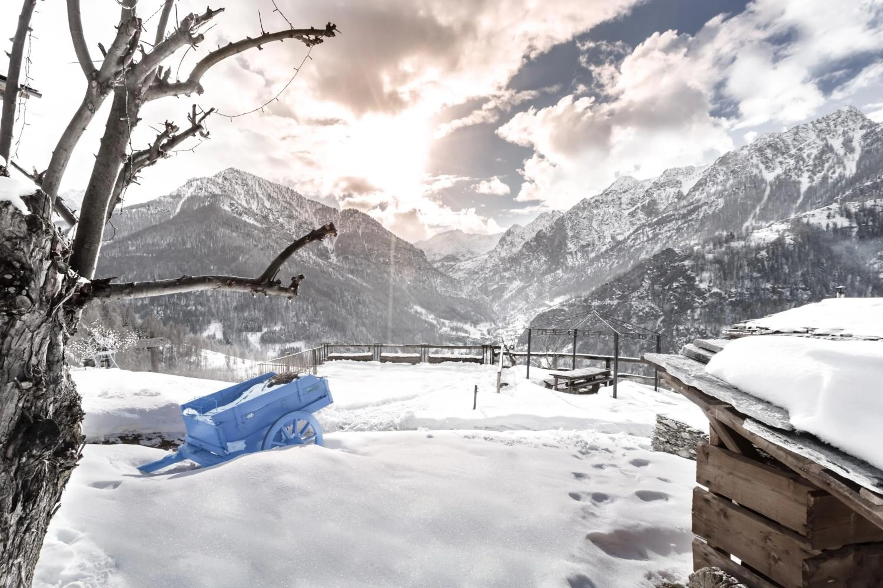 View (from property/room) in Brieis Relais Alpino