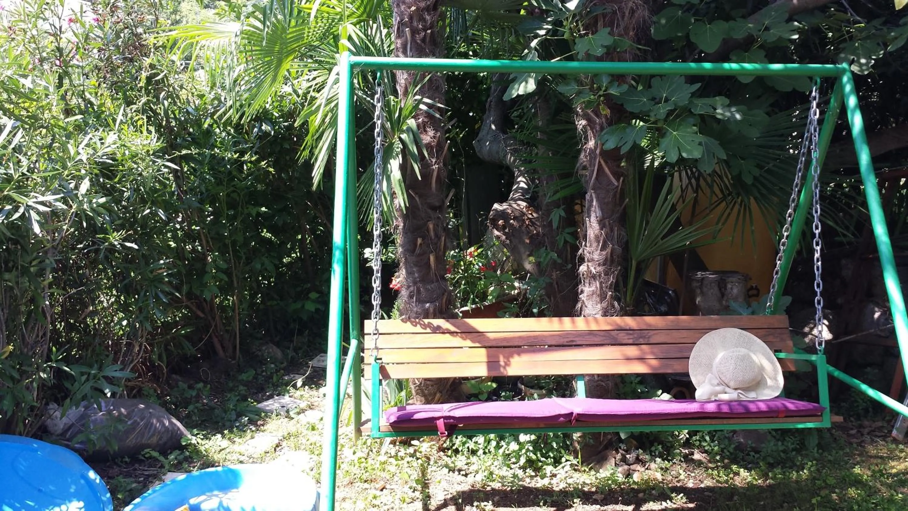 Garden in Apartments Paco & Bony