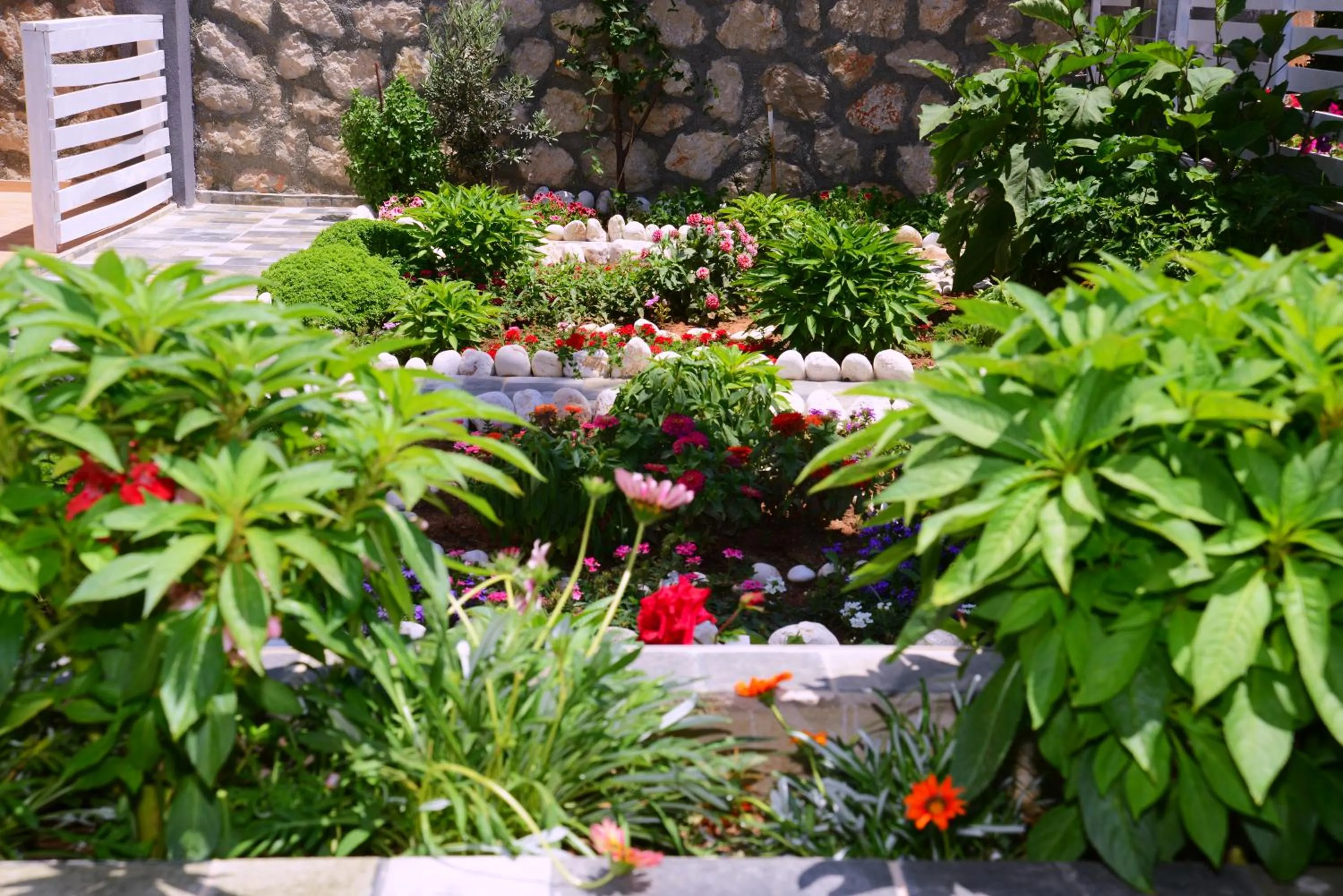 Other in Neruda Hotel