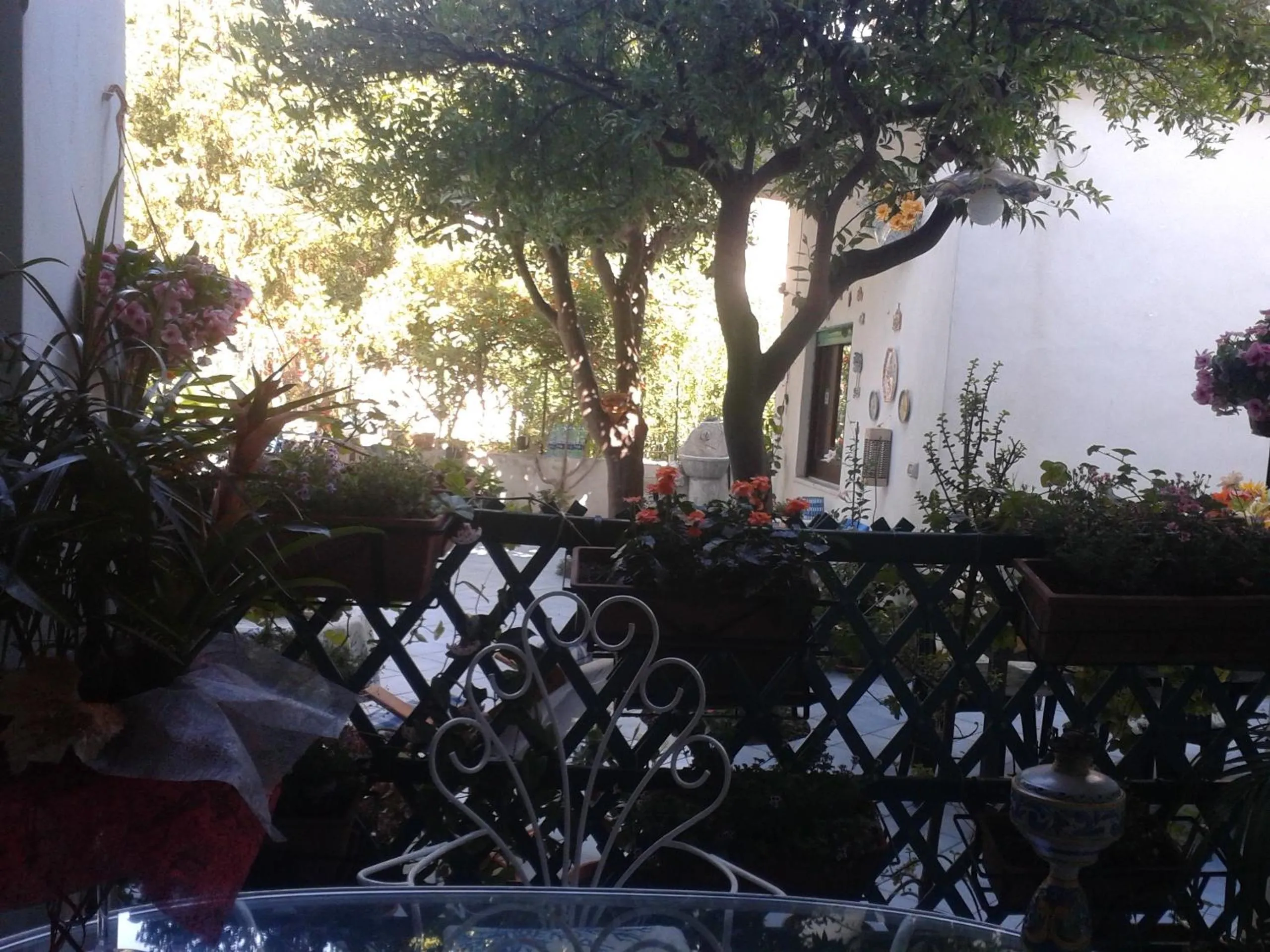 Balcony/Terrace in B&B Albatros