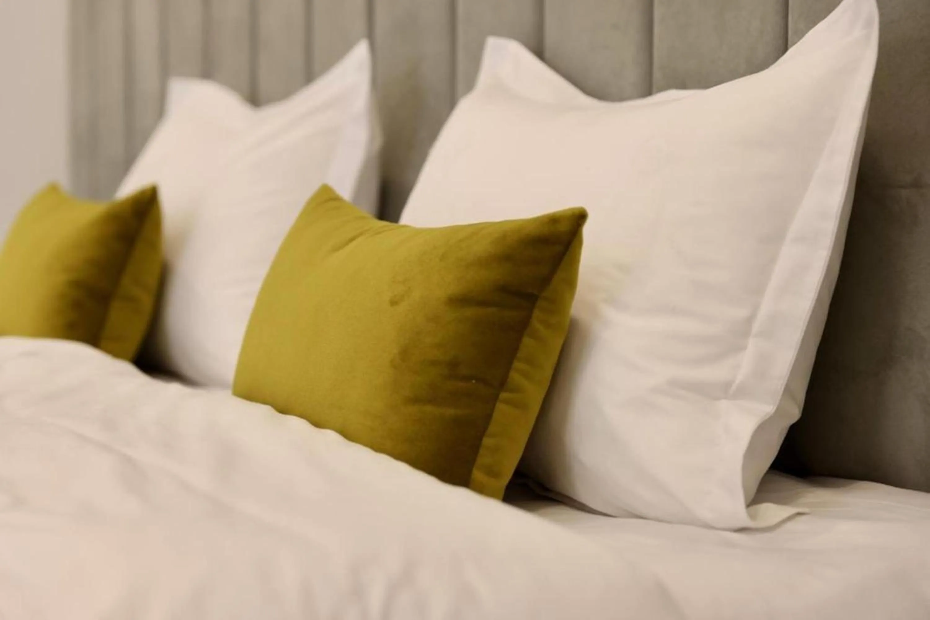 Bed in Benefice Hotel Yerevan-通緝